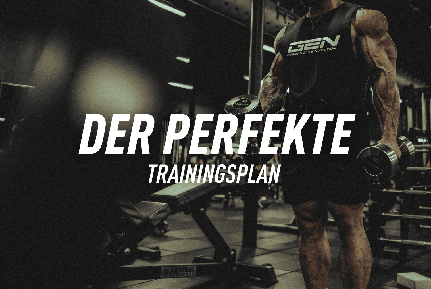 Der perfekte Trainingsplan für Muskelaufbau & Definition