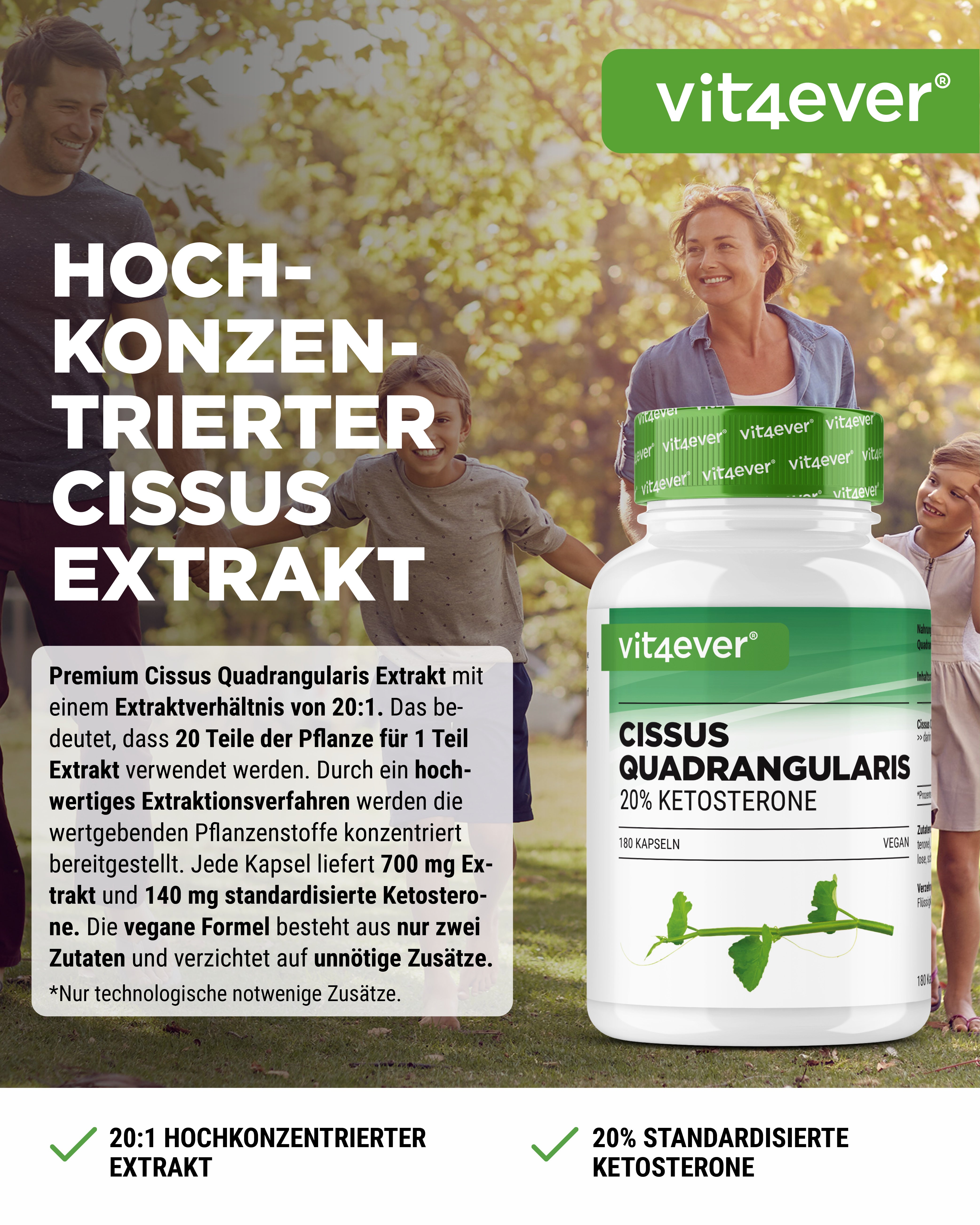 Cissus Quadrangularis - extracto de 725 mg - 40 % cetosteronas