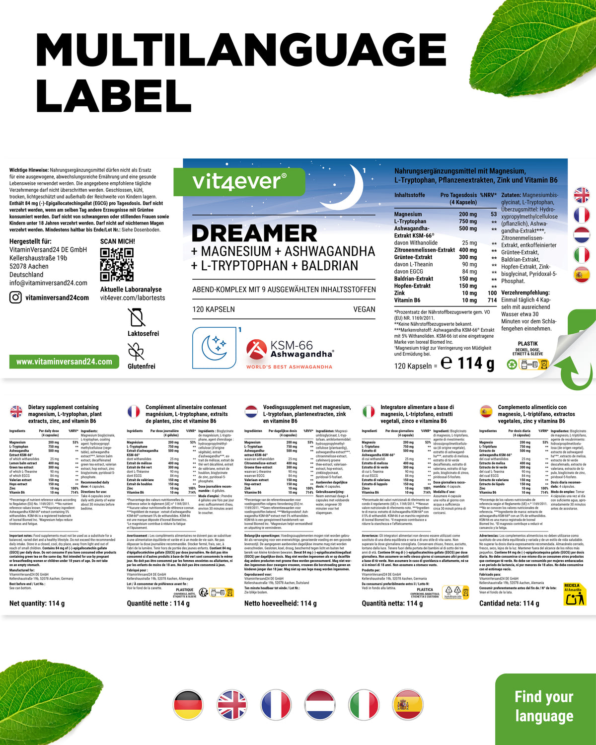 Dreamer