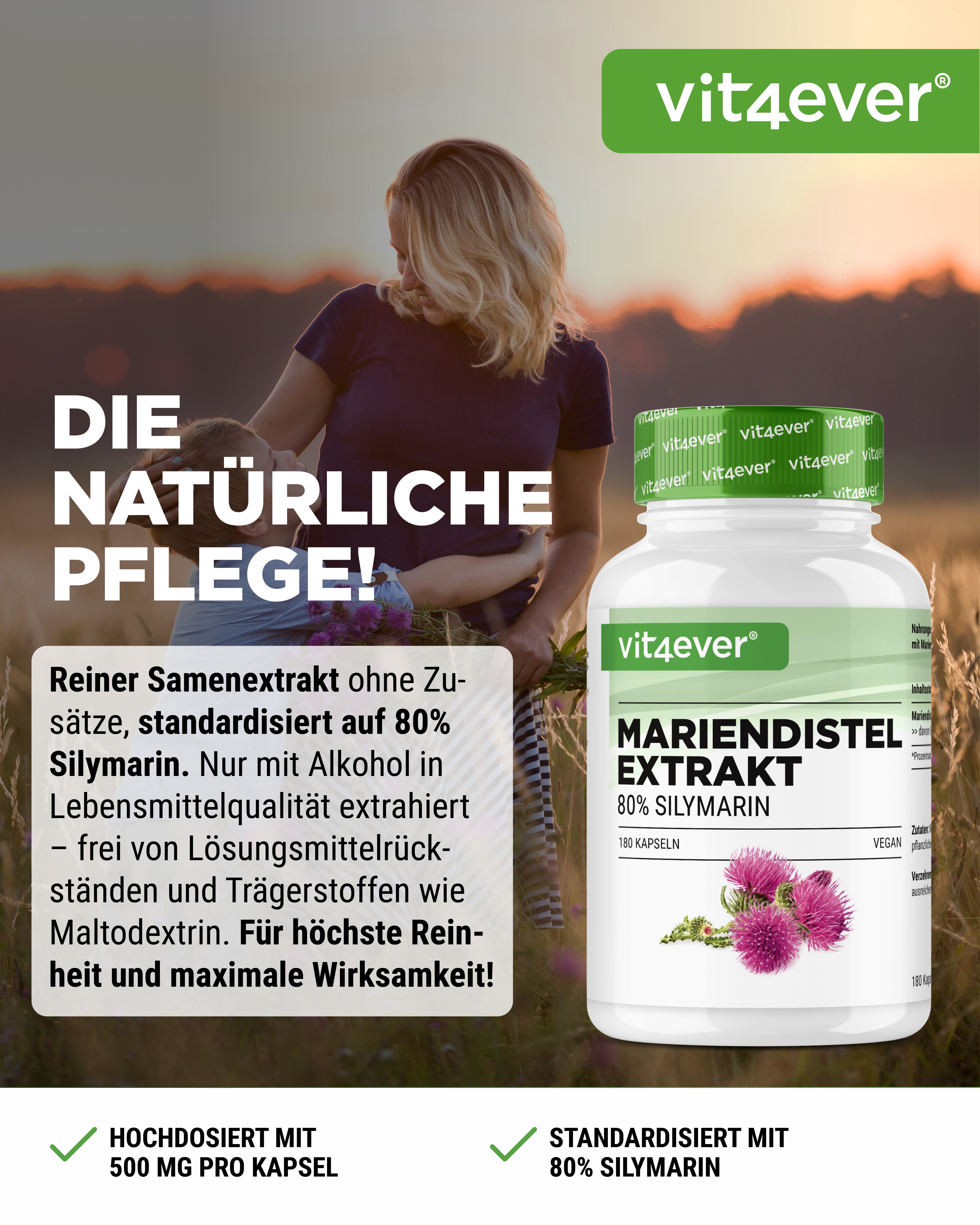 Extrait de Chardon-Marie 500 mg