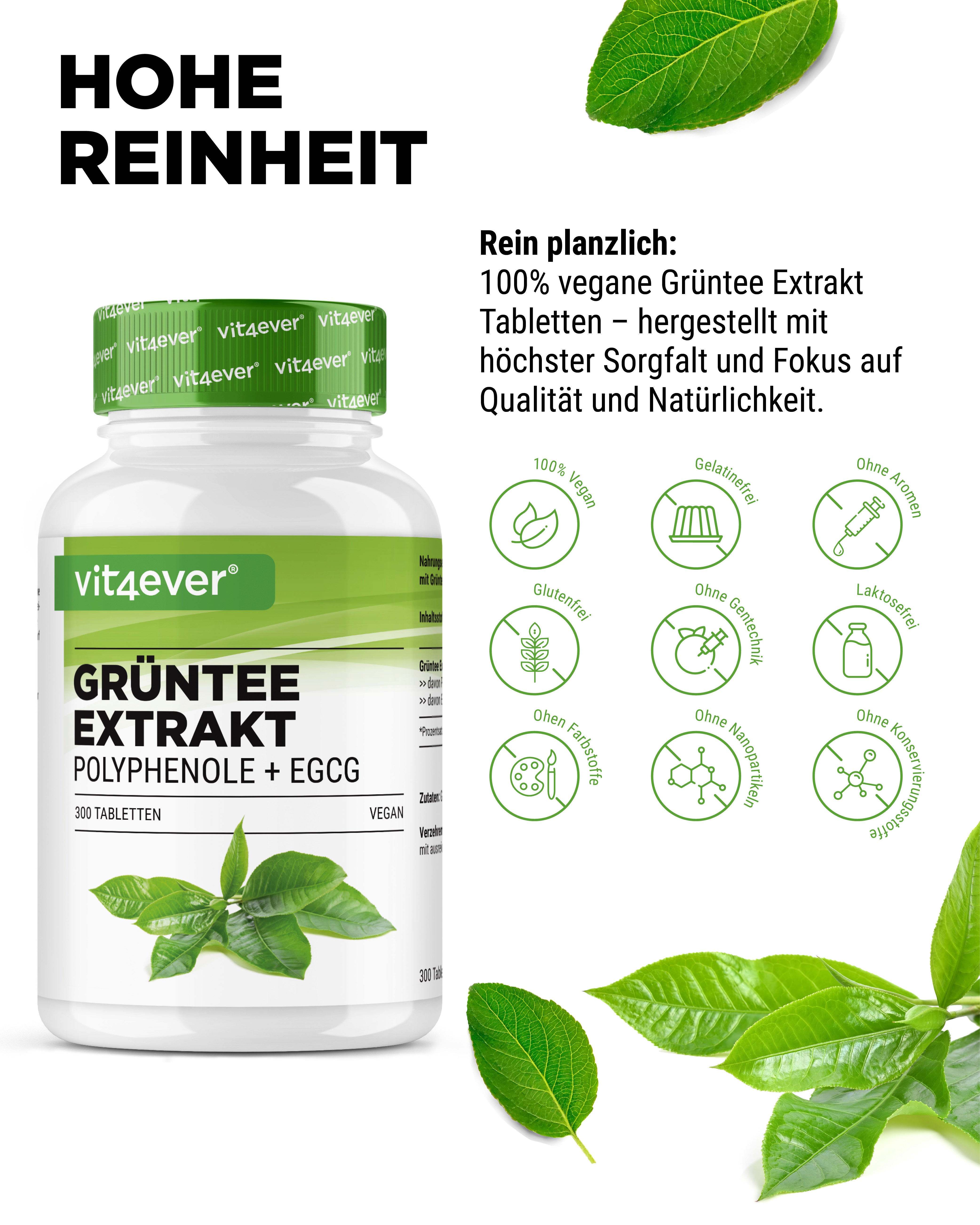 Extracto de té verde - EGCG