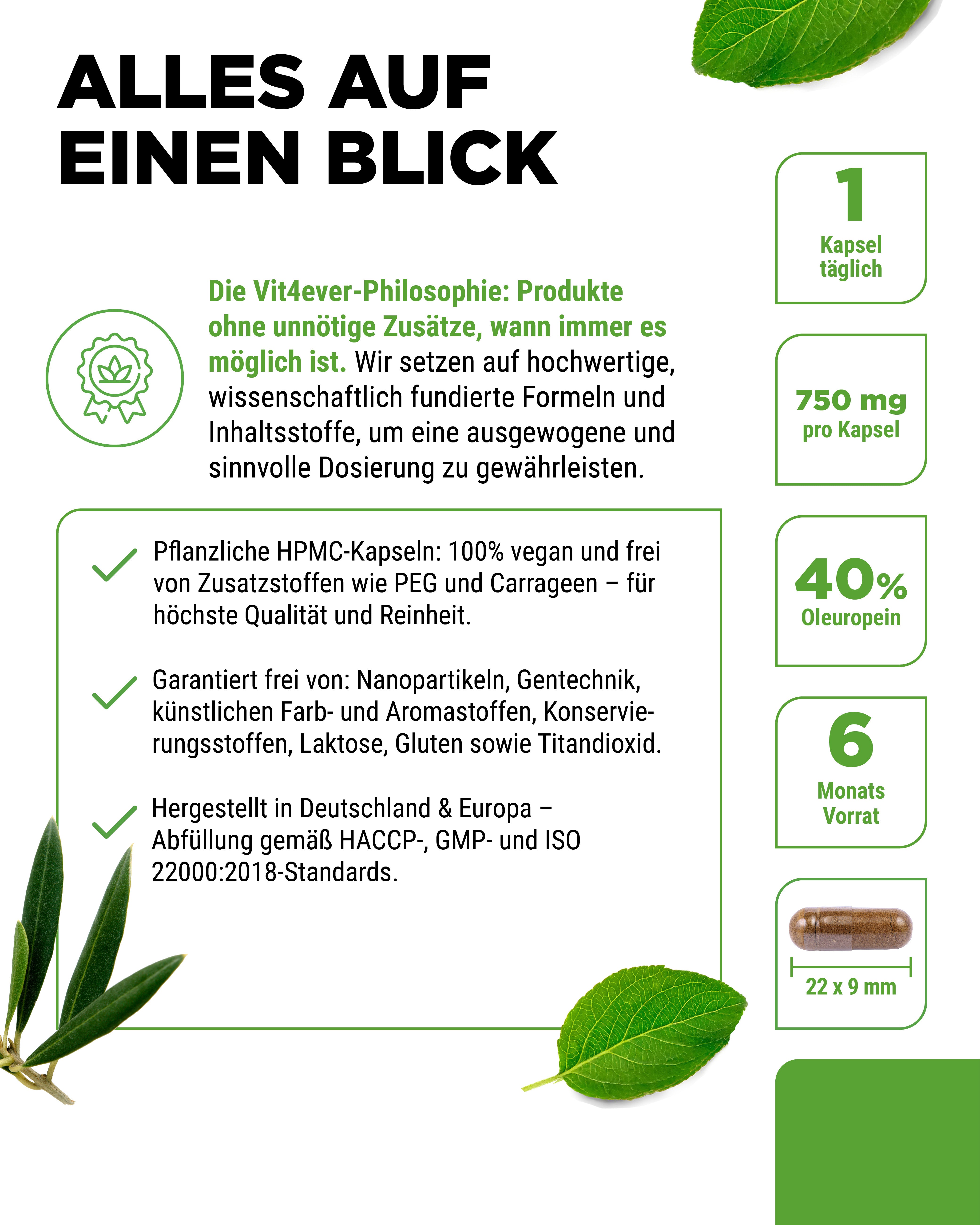 Extrait de feuilles d'olivier - 40% Oleuropéine