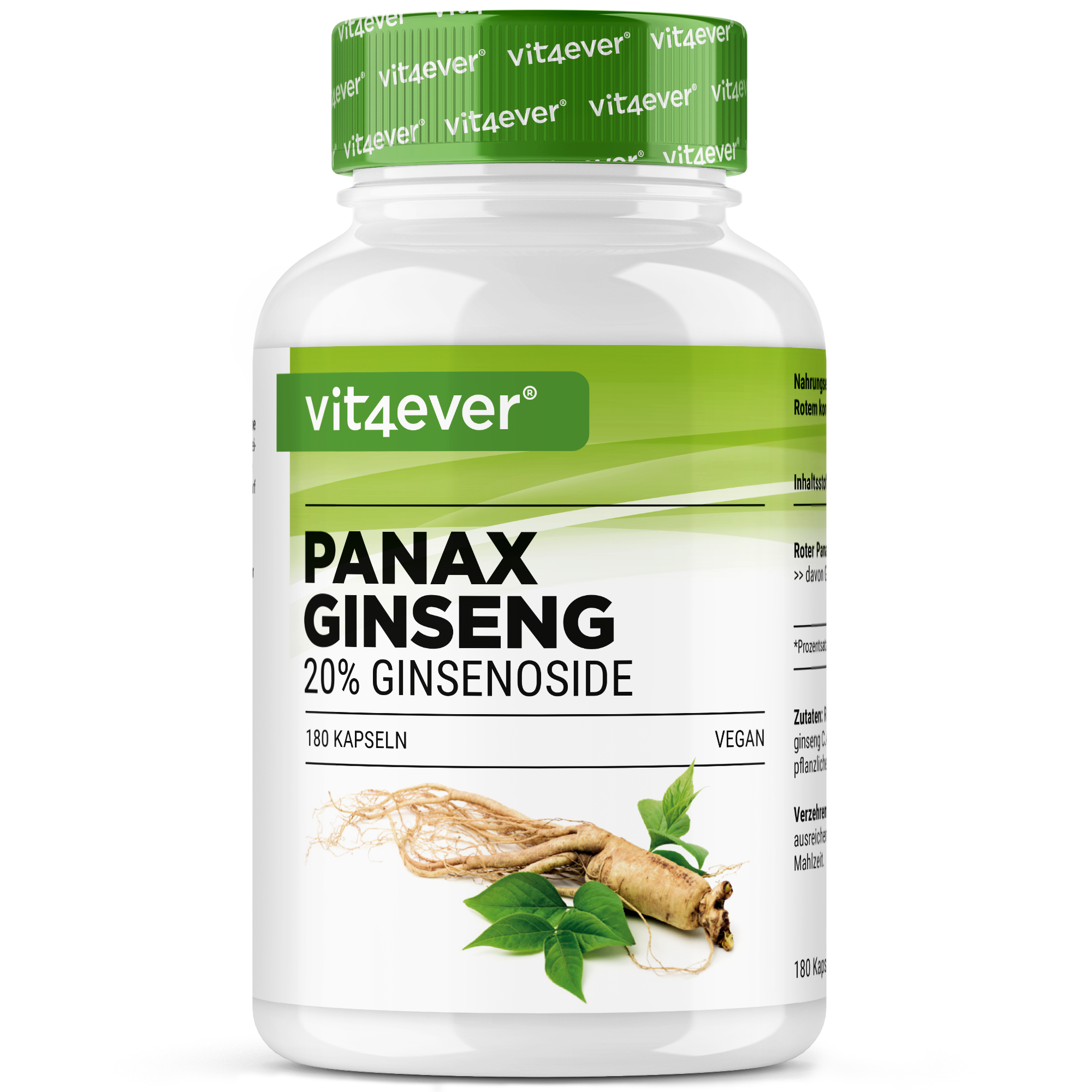 Panax Ginseng rosso