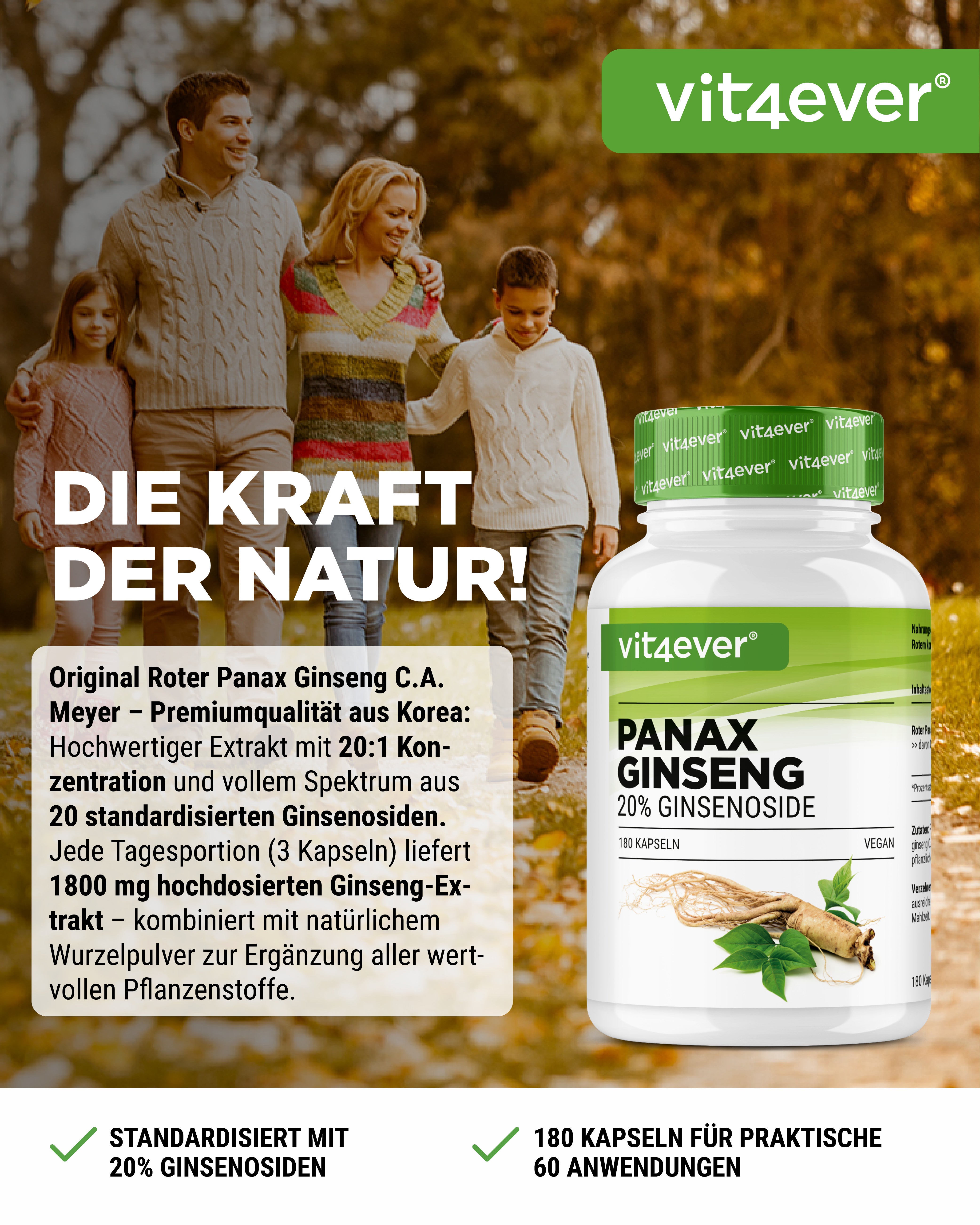 Panax Ginseng rosso
