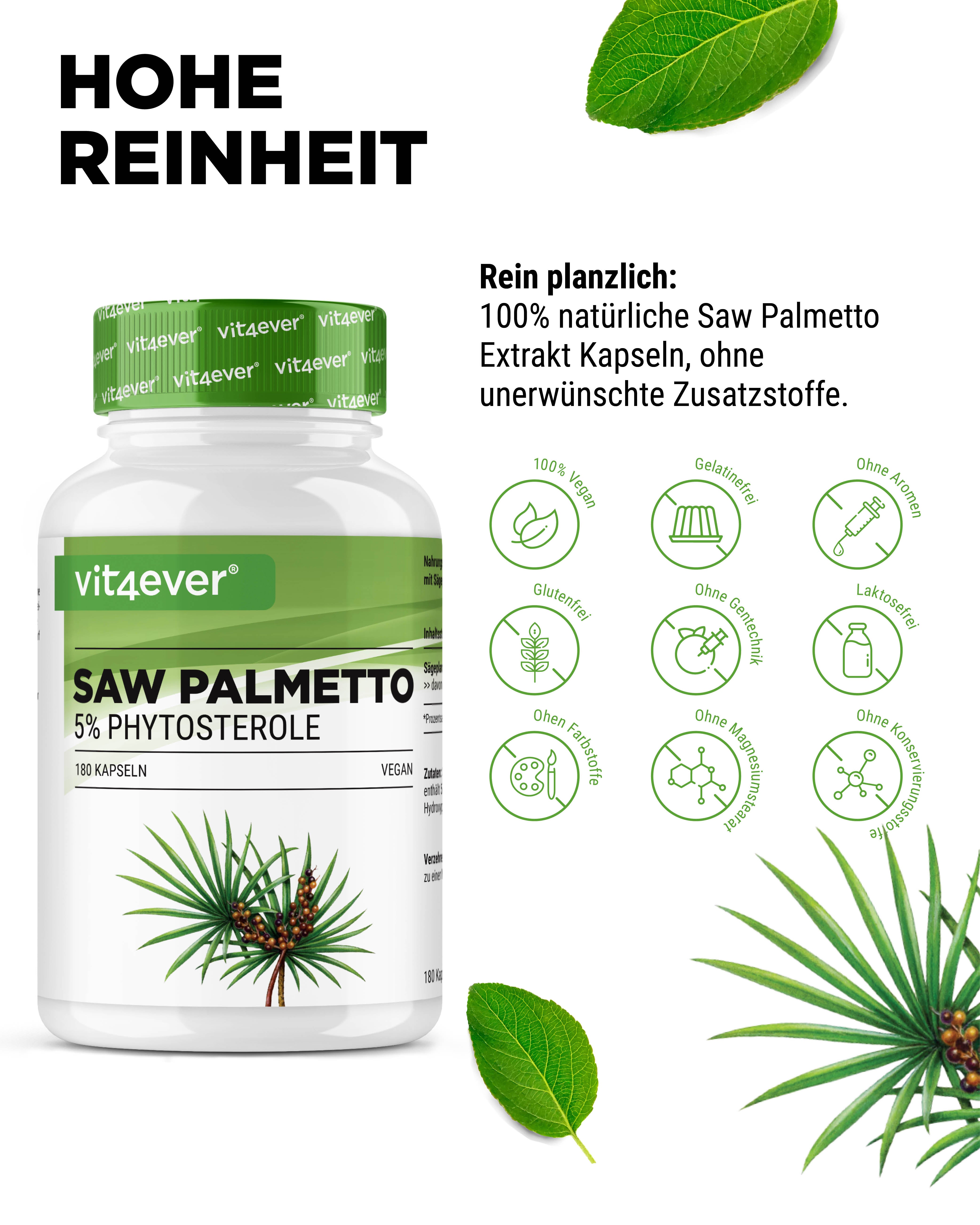 Saw Palmetto Extrakt - 500 mg