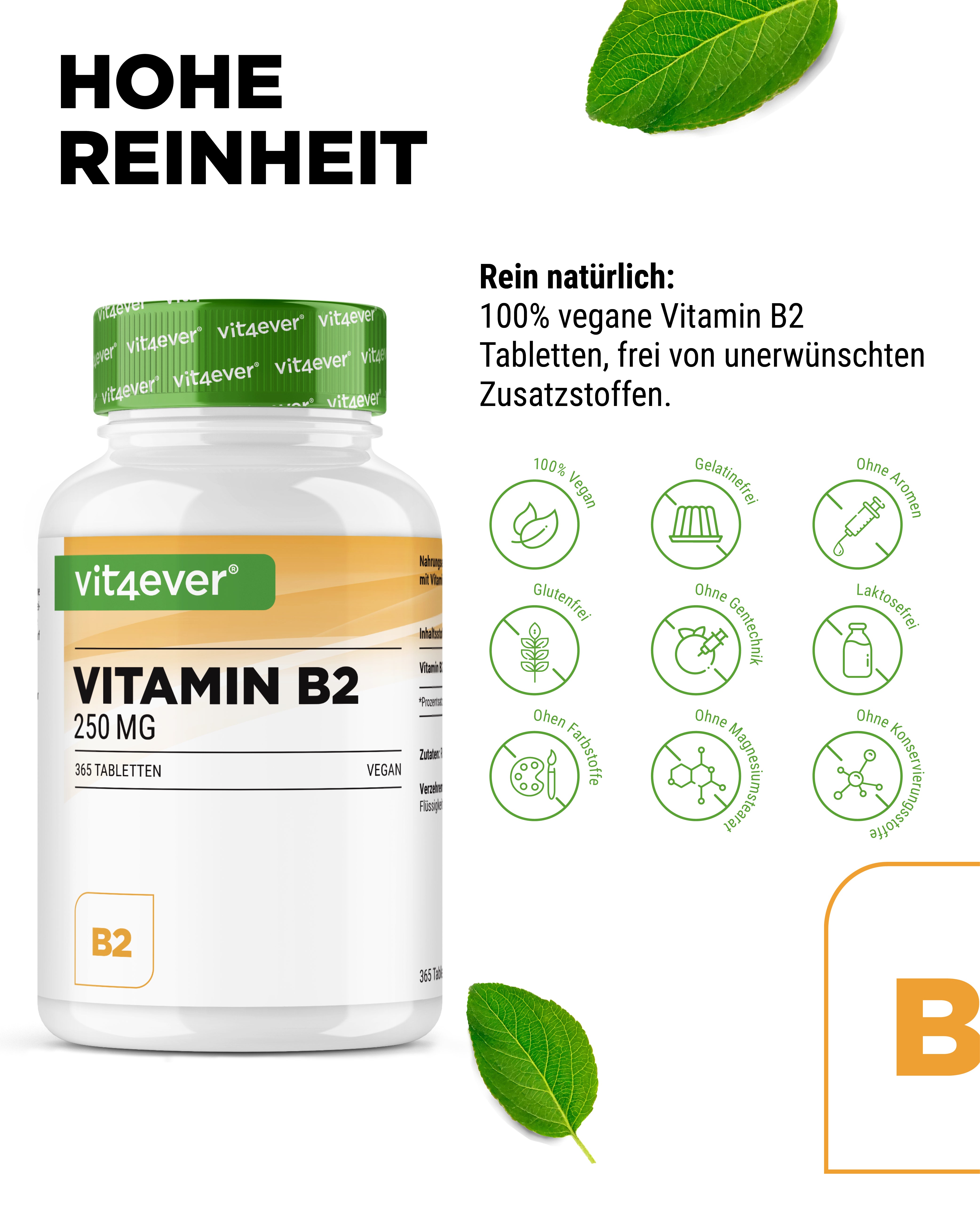 Vitamin B2 Riboflavin 250 mg