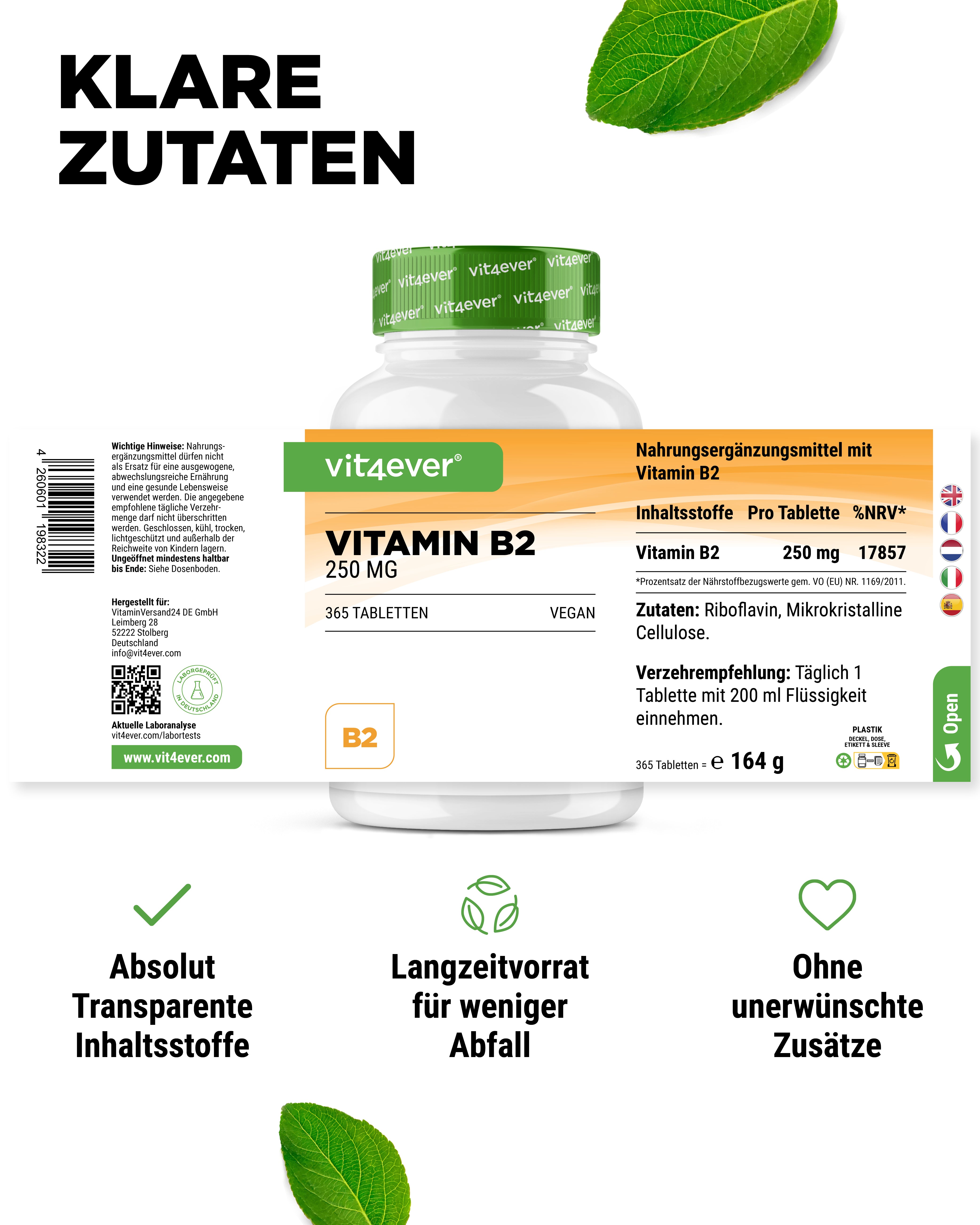 Vitamin B2 Riboflavin 250 mg