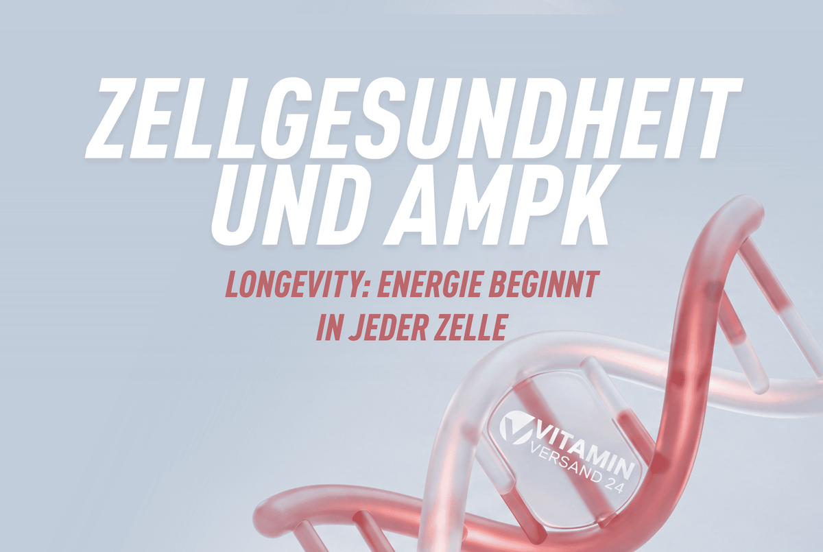 Zellgesundheit &amp; Longevity: Energie beginnt in jeder Zelle