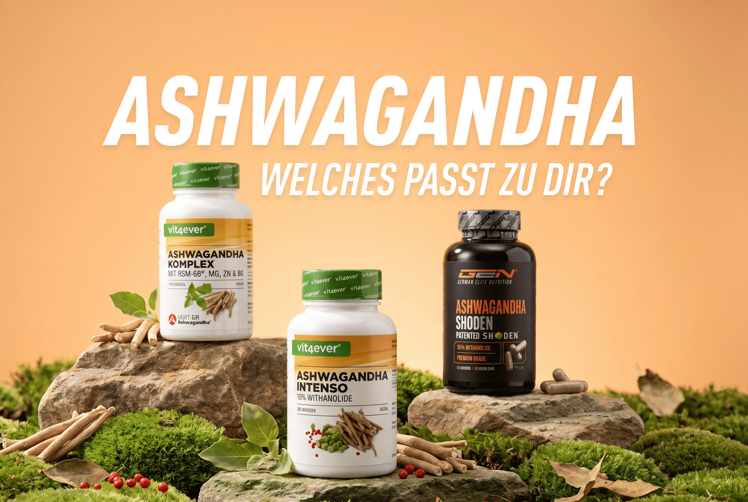 Welches Ashwagandha passt wirklich zu dir? Finde dein perfektes Match!
