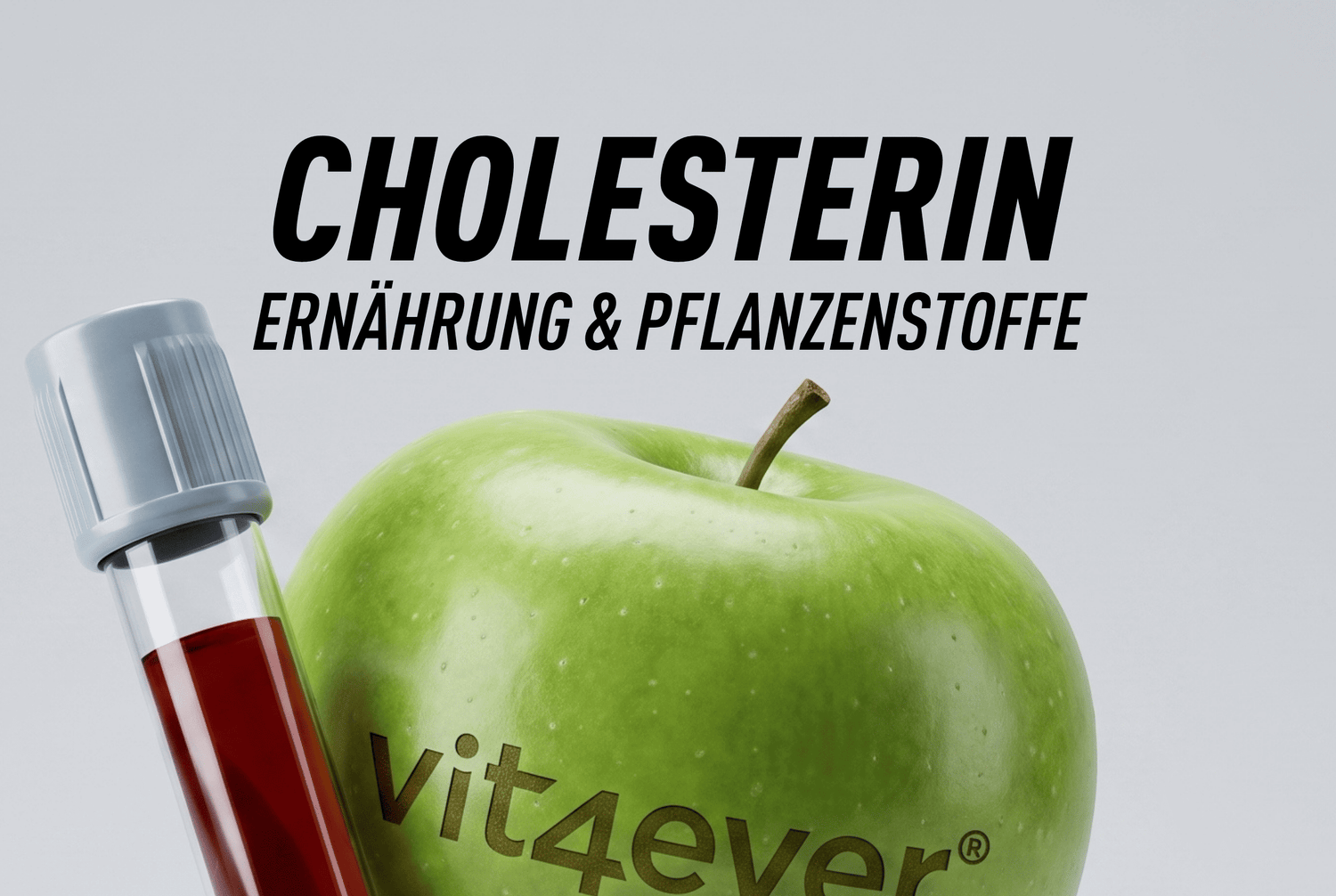 Cholesterin verstehen: LDL, HDL, Ernährung & Pflanzenstoffe einfach erklärt