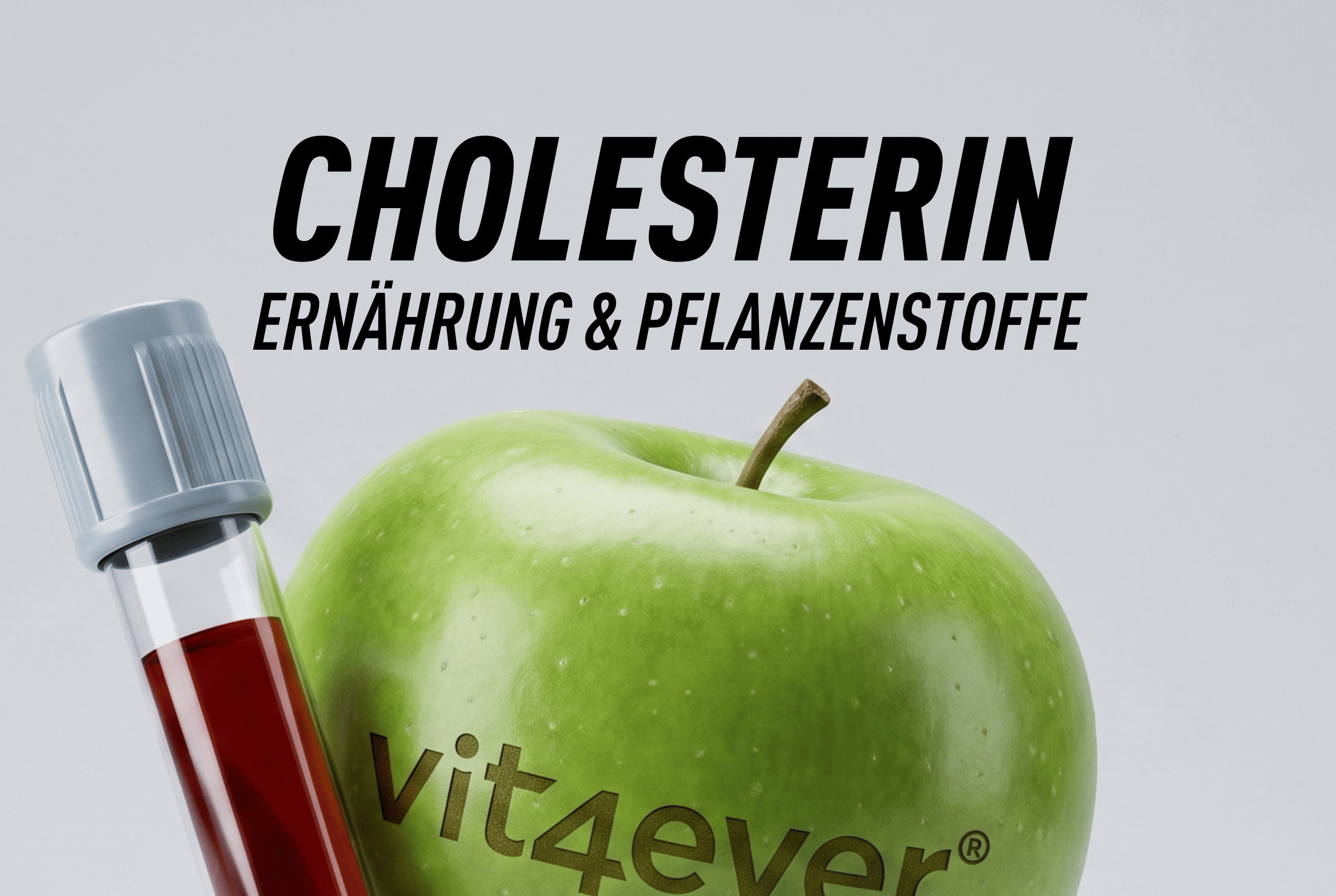 Cholesterin verstehen: LDL, HDL, Ernährung & Pflanzenstoffe einfach erklärt