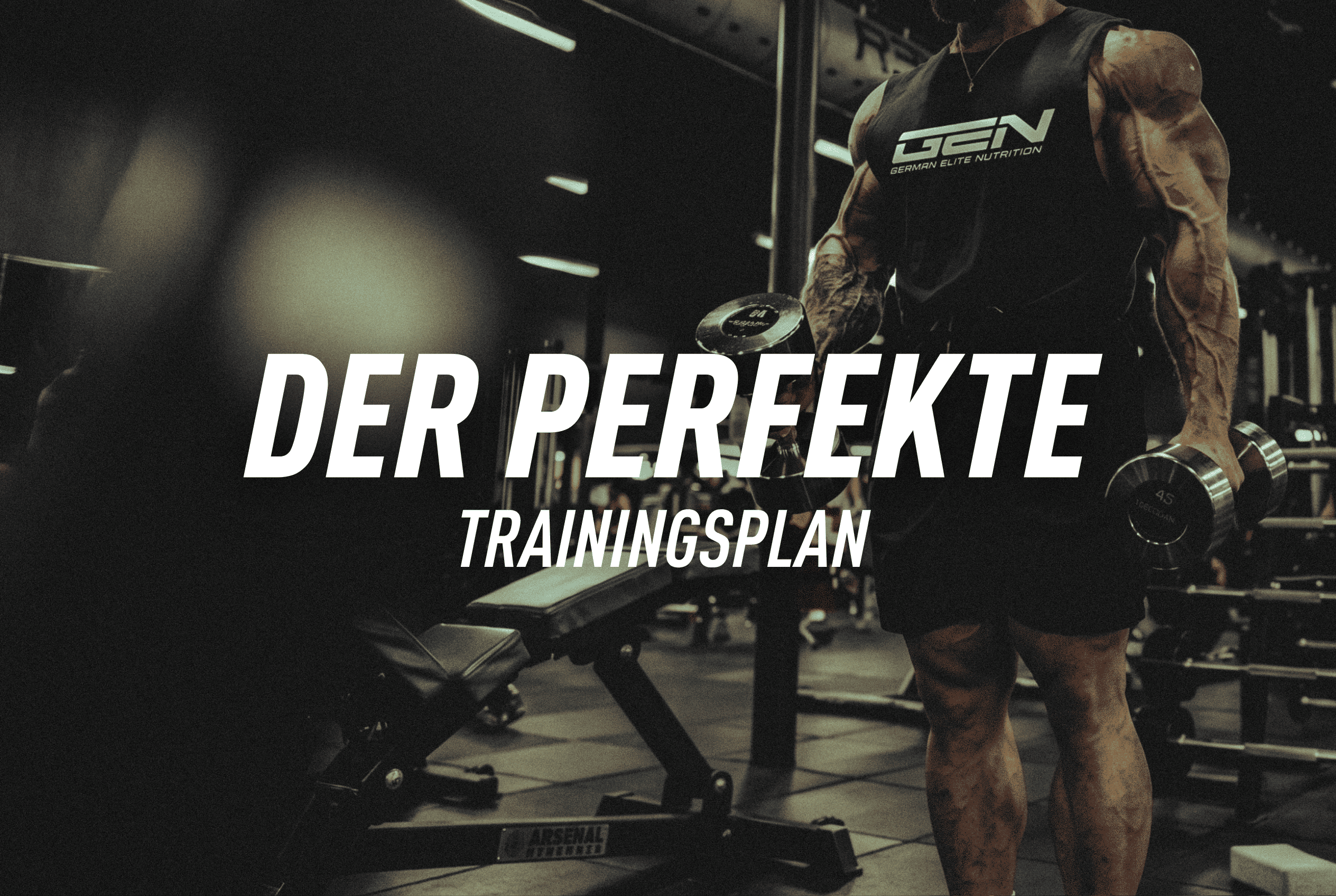 Der perfekte Trainingsplan für Muskelaufbau & Definition