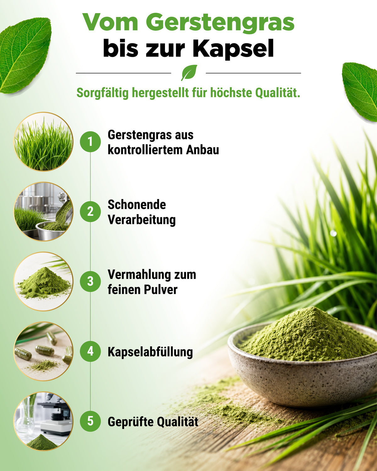 Organic Barley Grass - 365 vegan capsules
