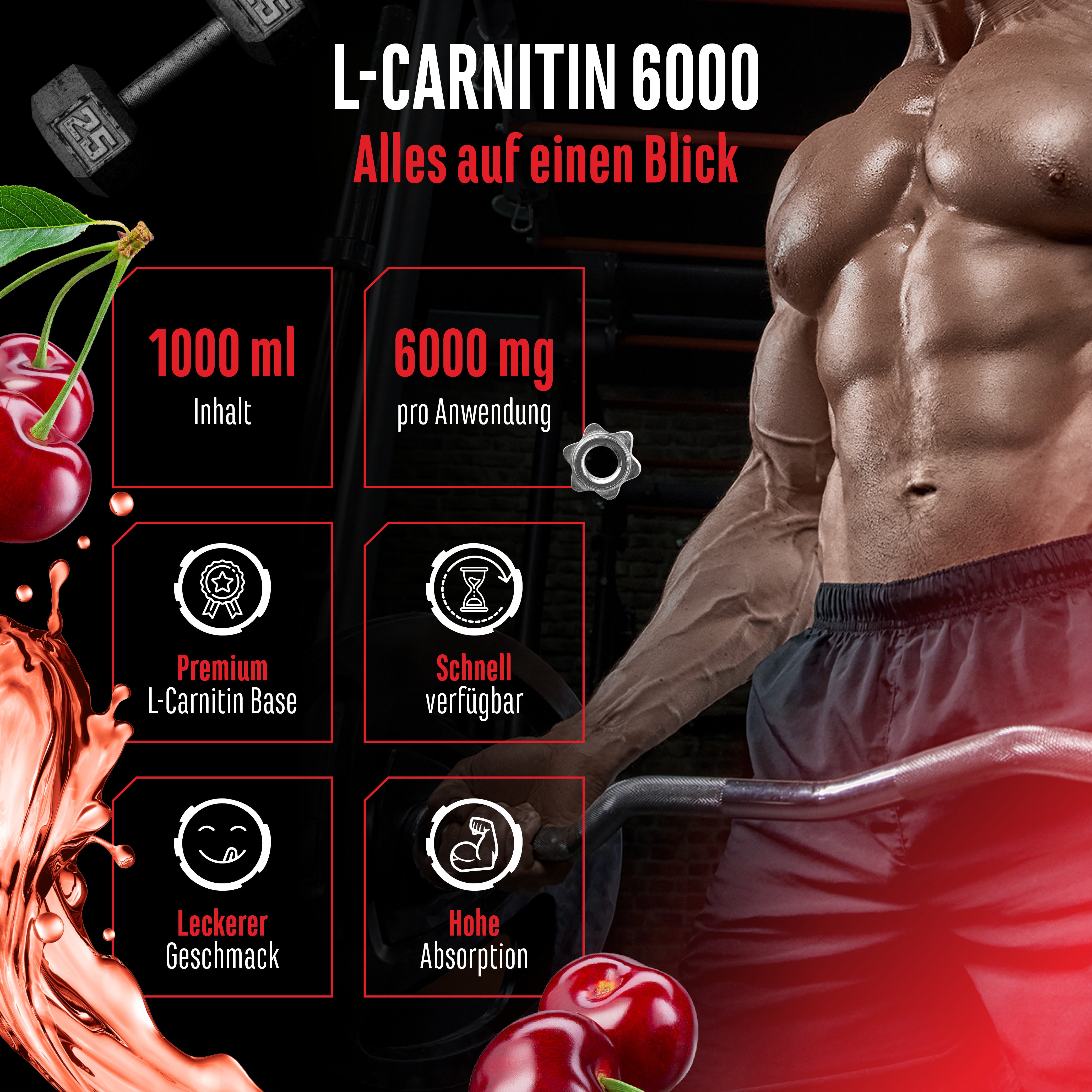 L-Carnitina Liquido