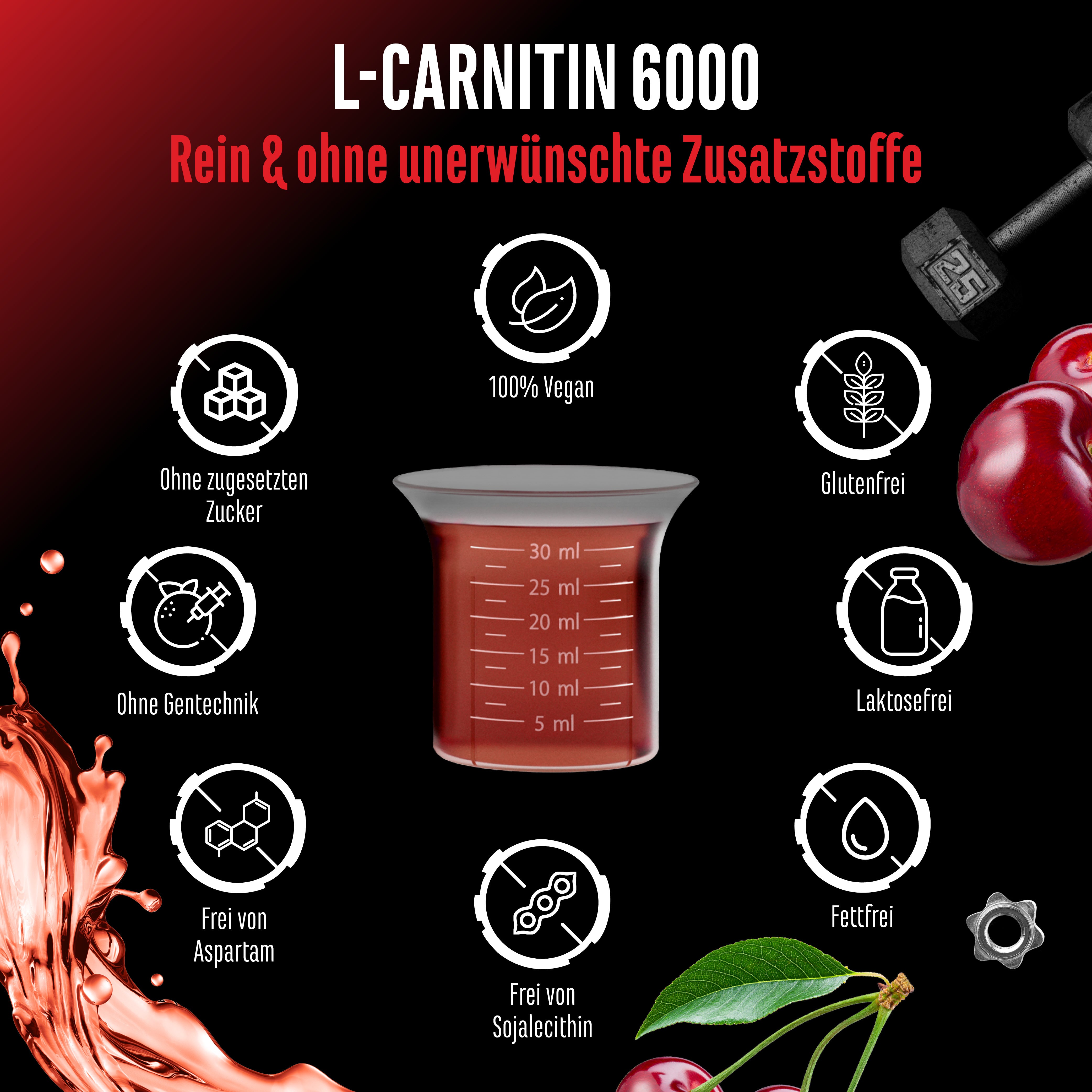 L-Carnitin Liquid