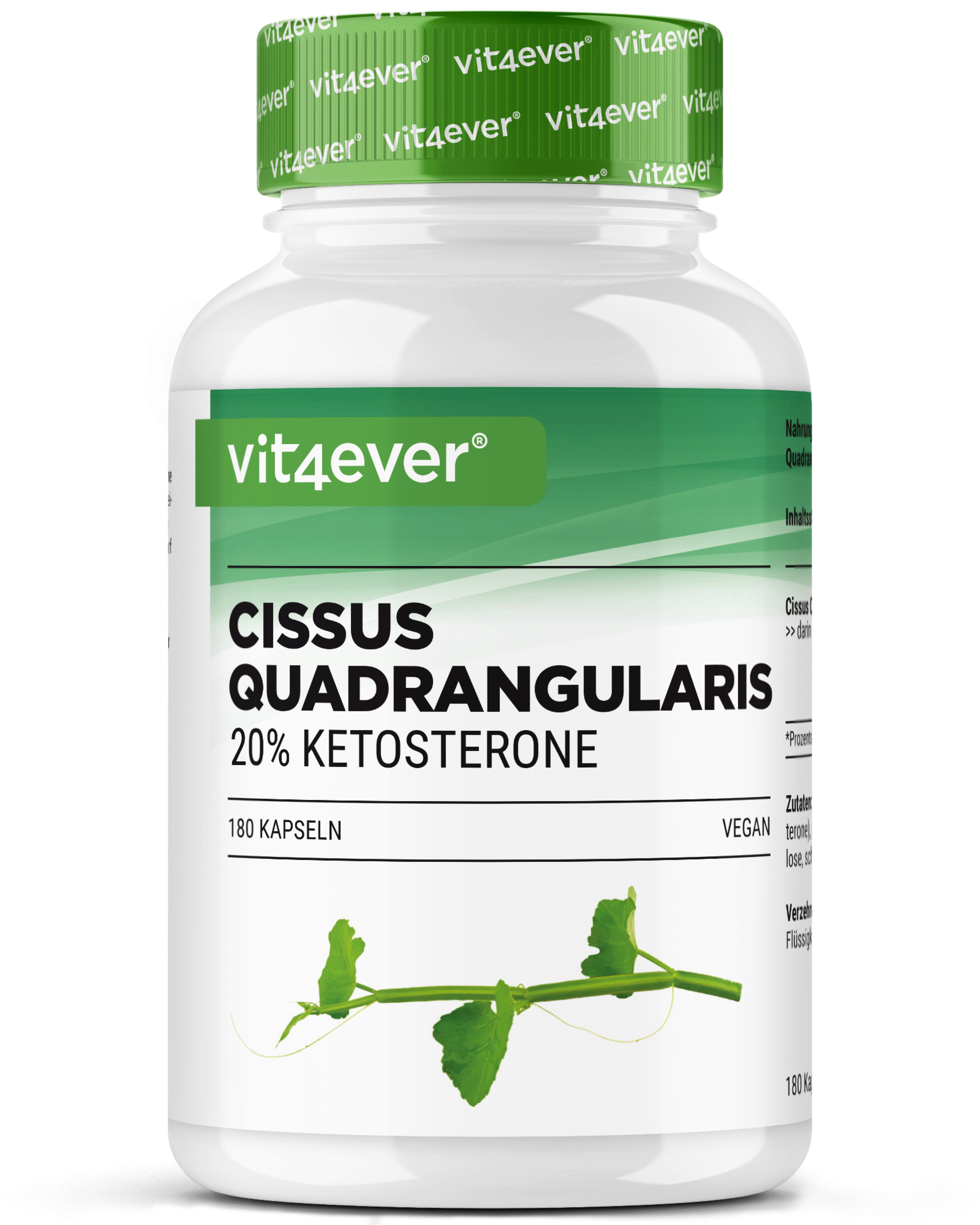 Cissus Quadrangularis - extracto de 725 mg - 40 % cetosteronas