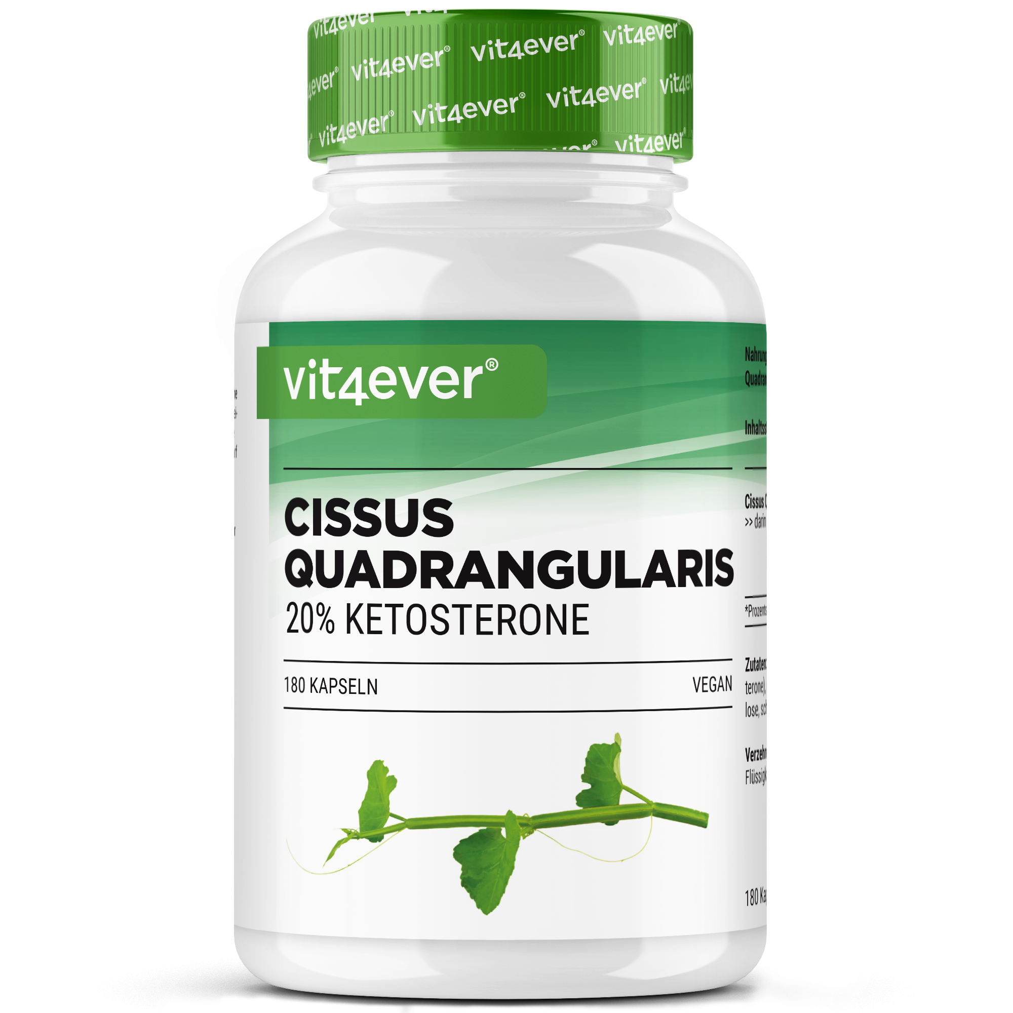 Cissus Quadrangularis - extracto de 725 mg - 40 % cetosteronas