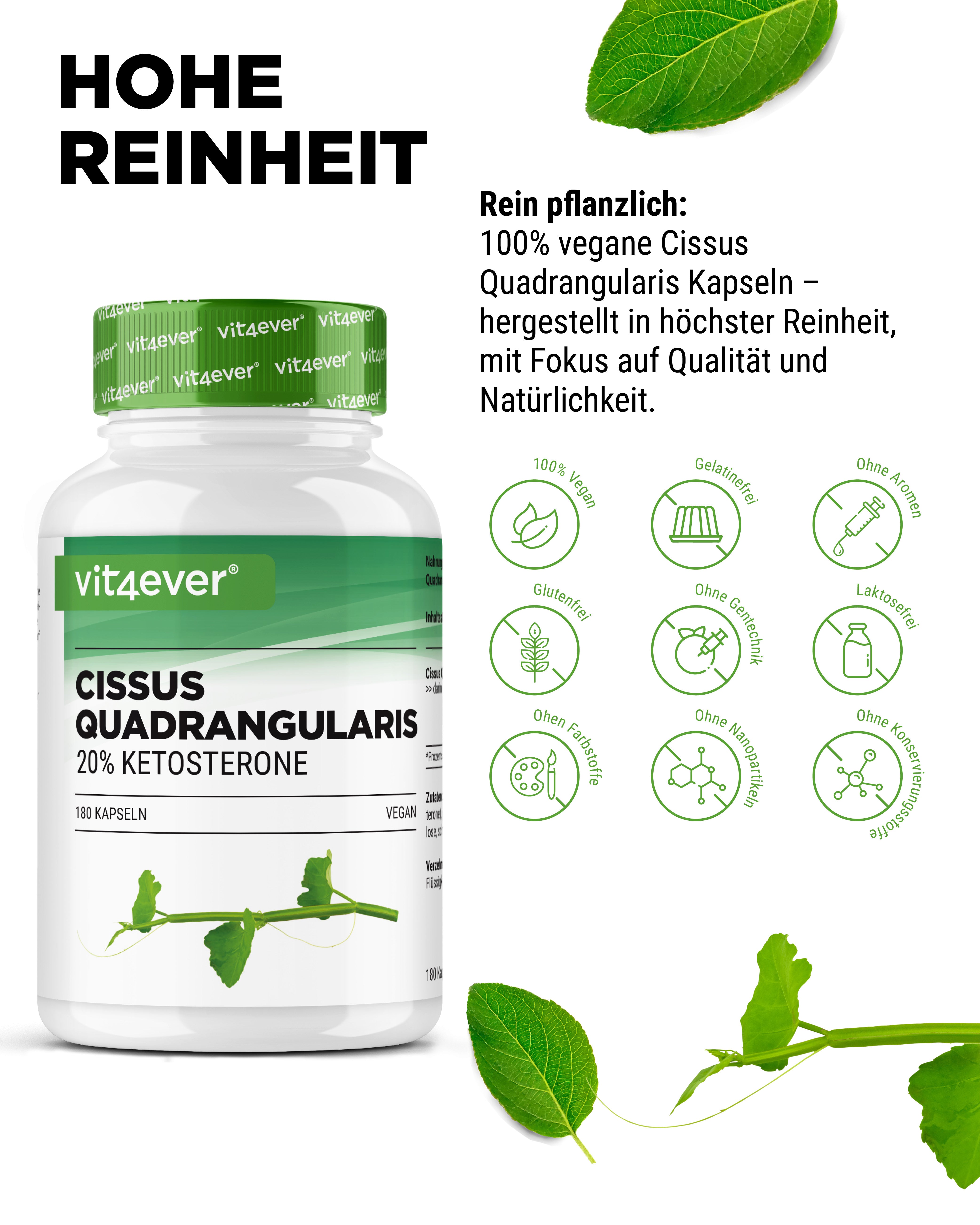 Cissus Quadrangularis - extracto de 725 mg - 40 % cetosteronas
