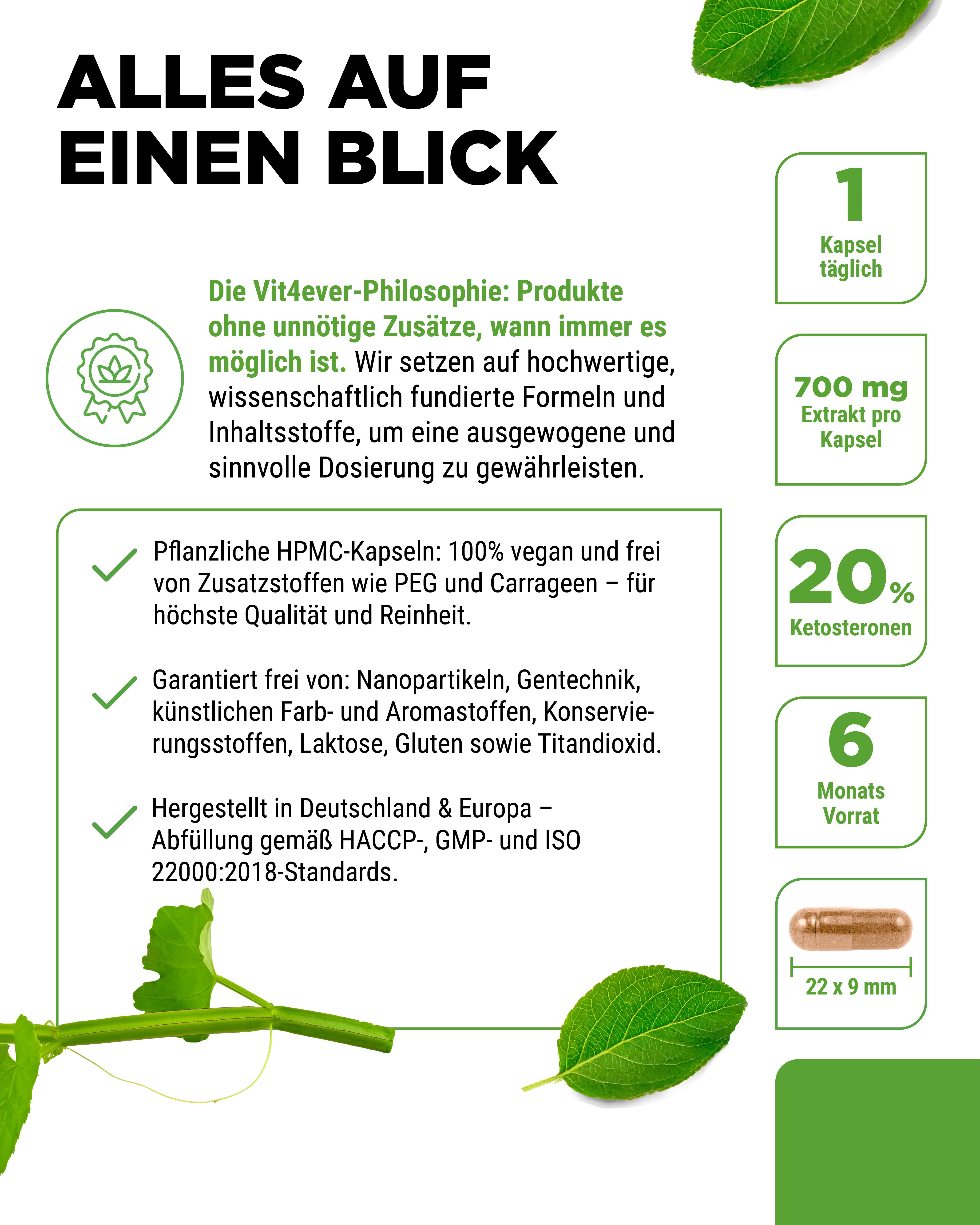 Cissus Quadrangularis - extracto de 725 mg - 40 % cetosteronas