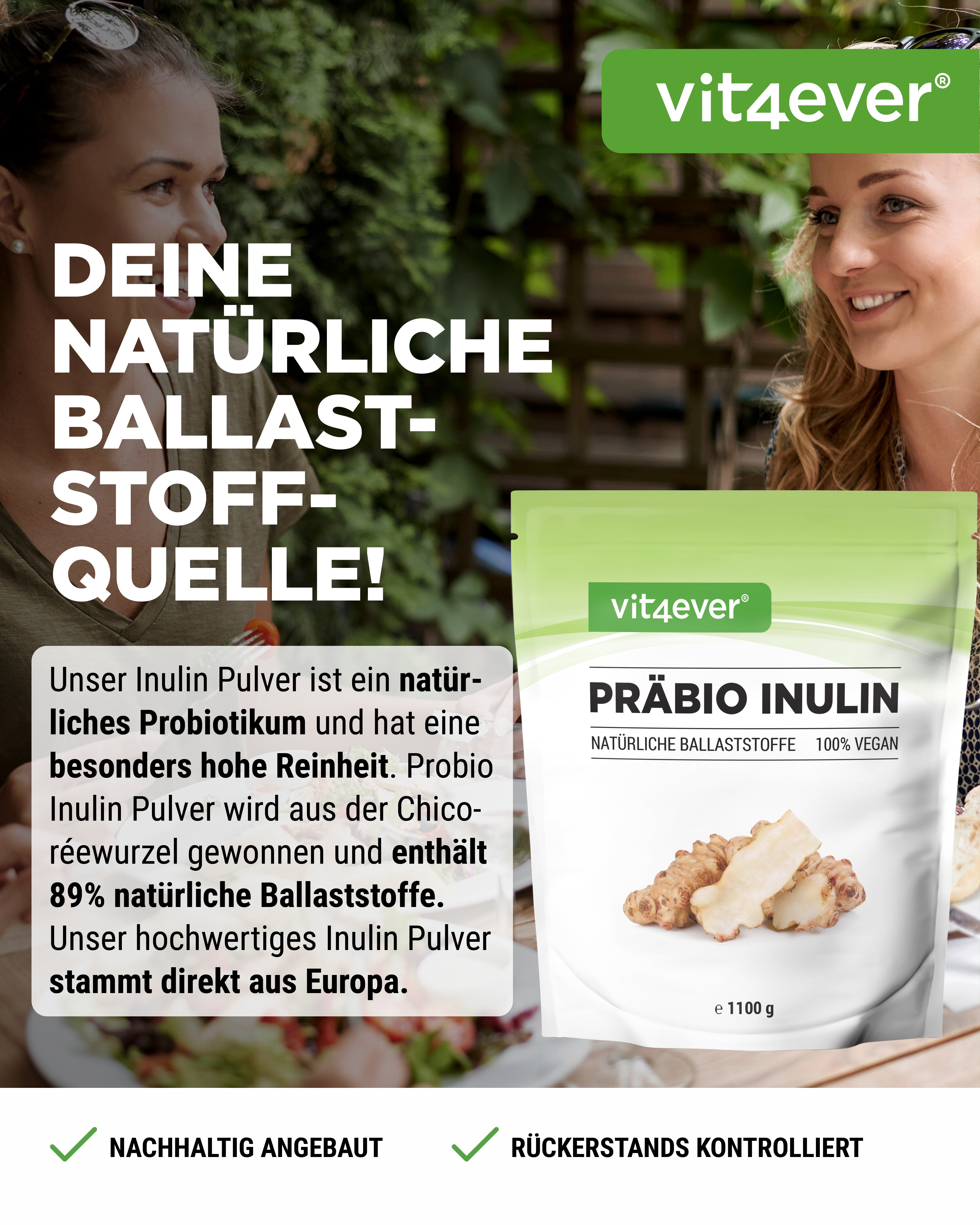 Prébio Inuline poudre
