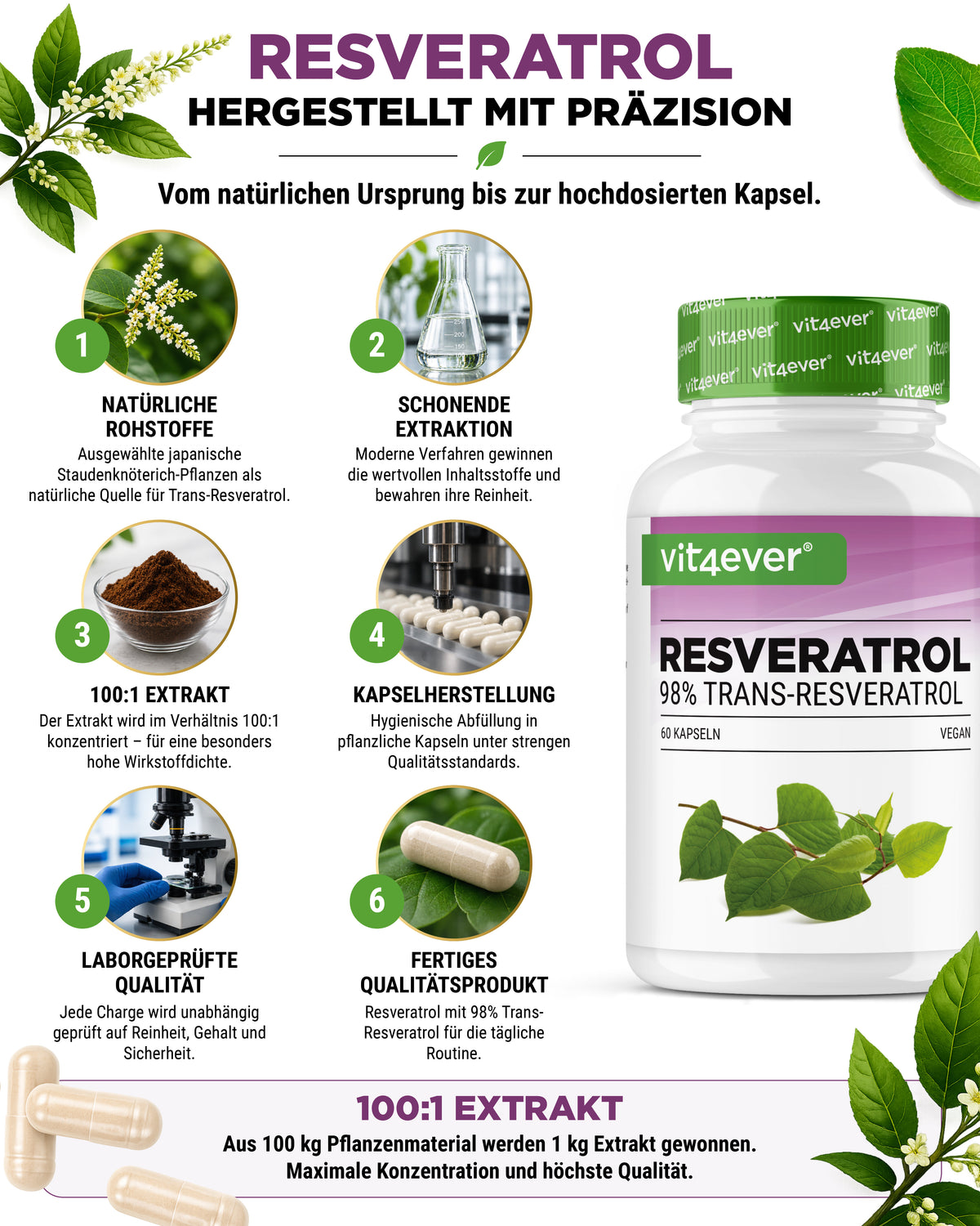 Resvératrol - 500 mg - 98% Trans-Resvératrol