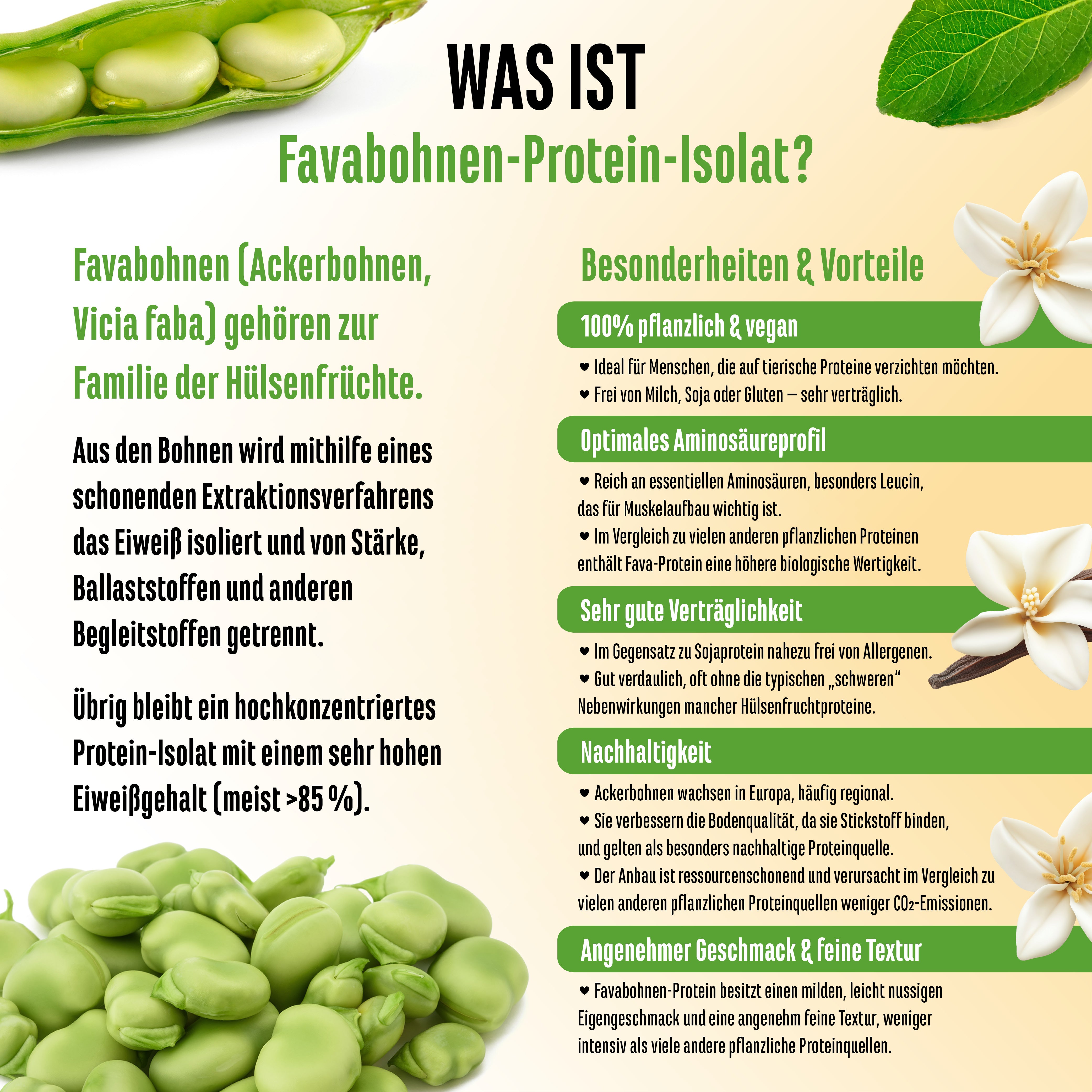 Yummy Vegan Protein