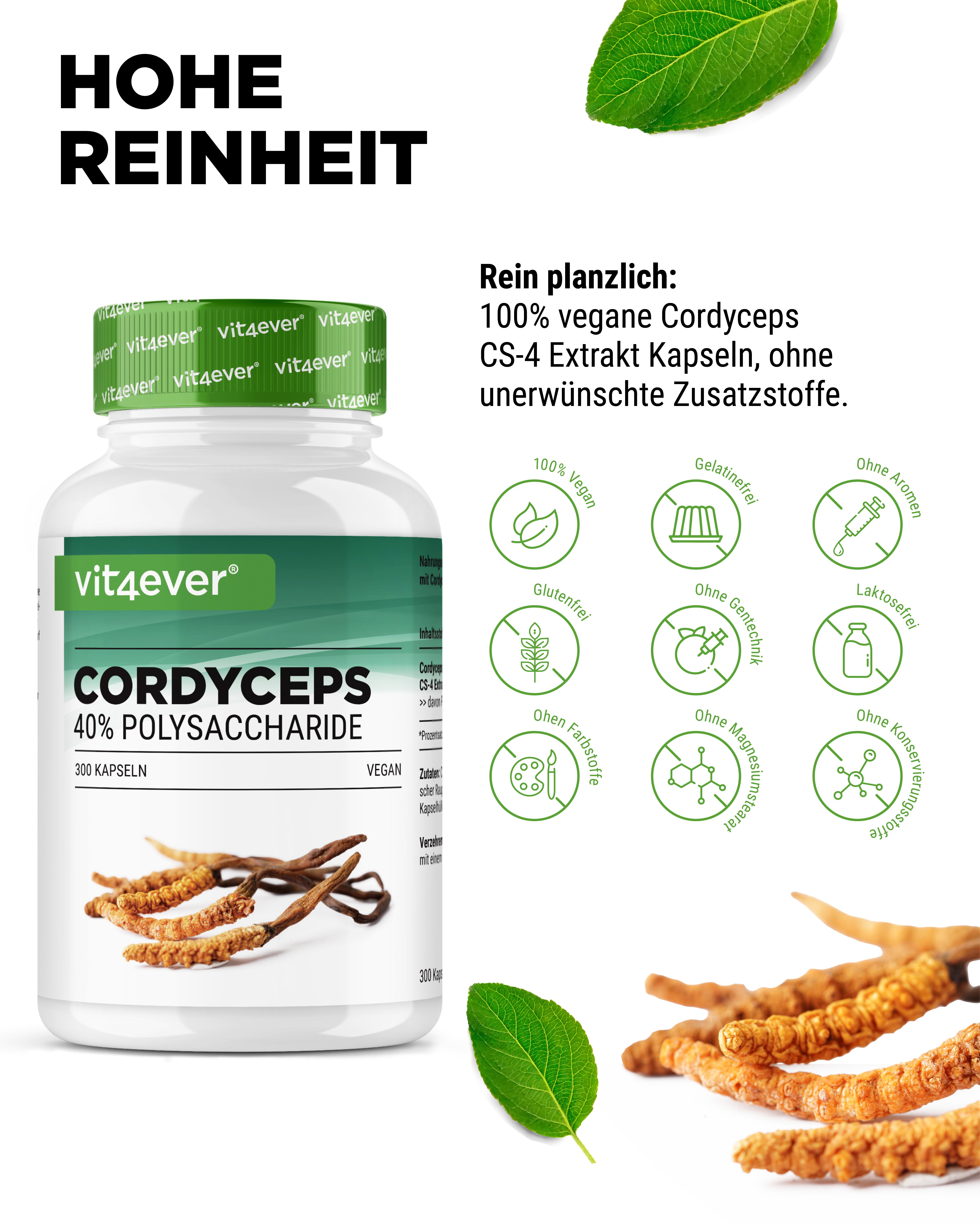 Cordyceps - Estratto CS-4