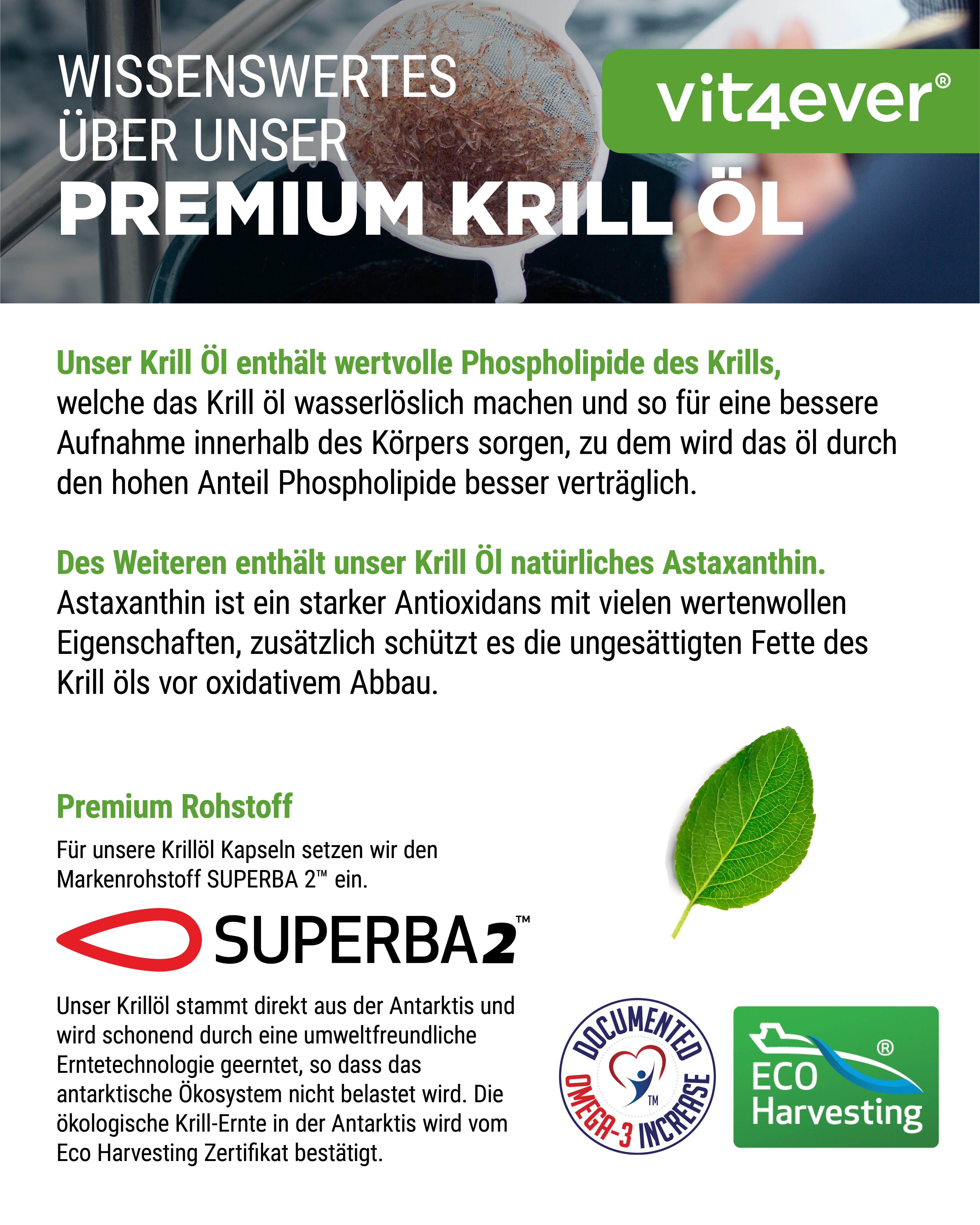 Olej z Kryla - SUPERBA2