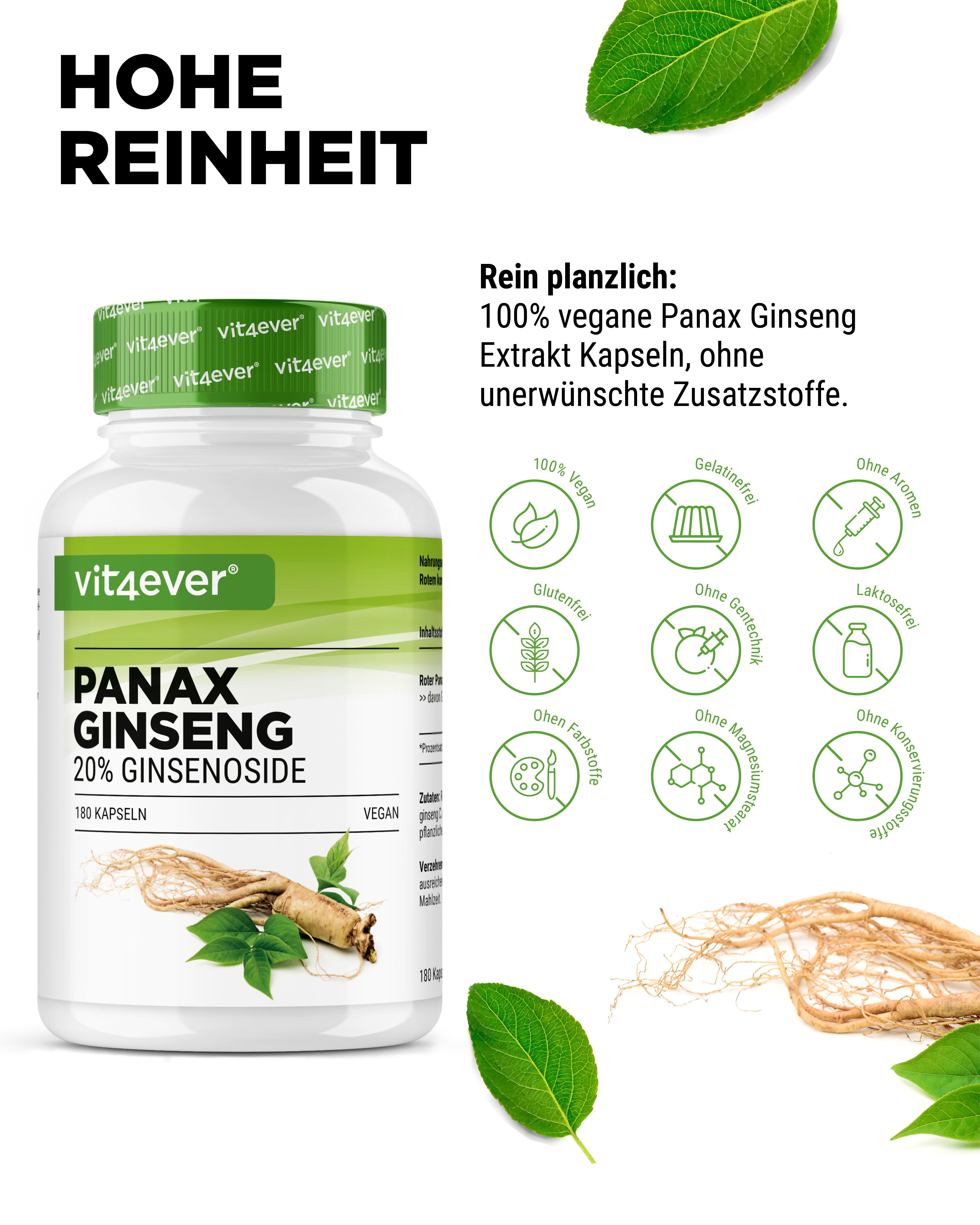 Panax Ginseng rosso