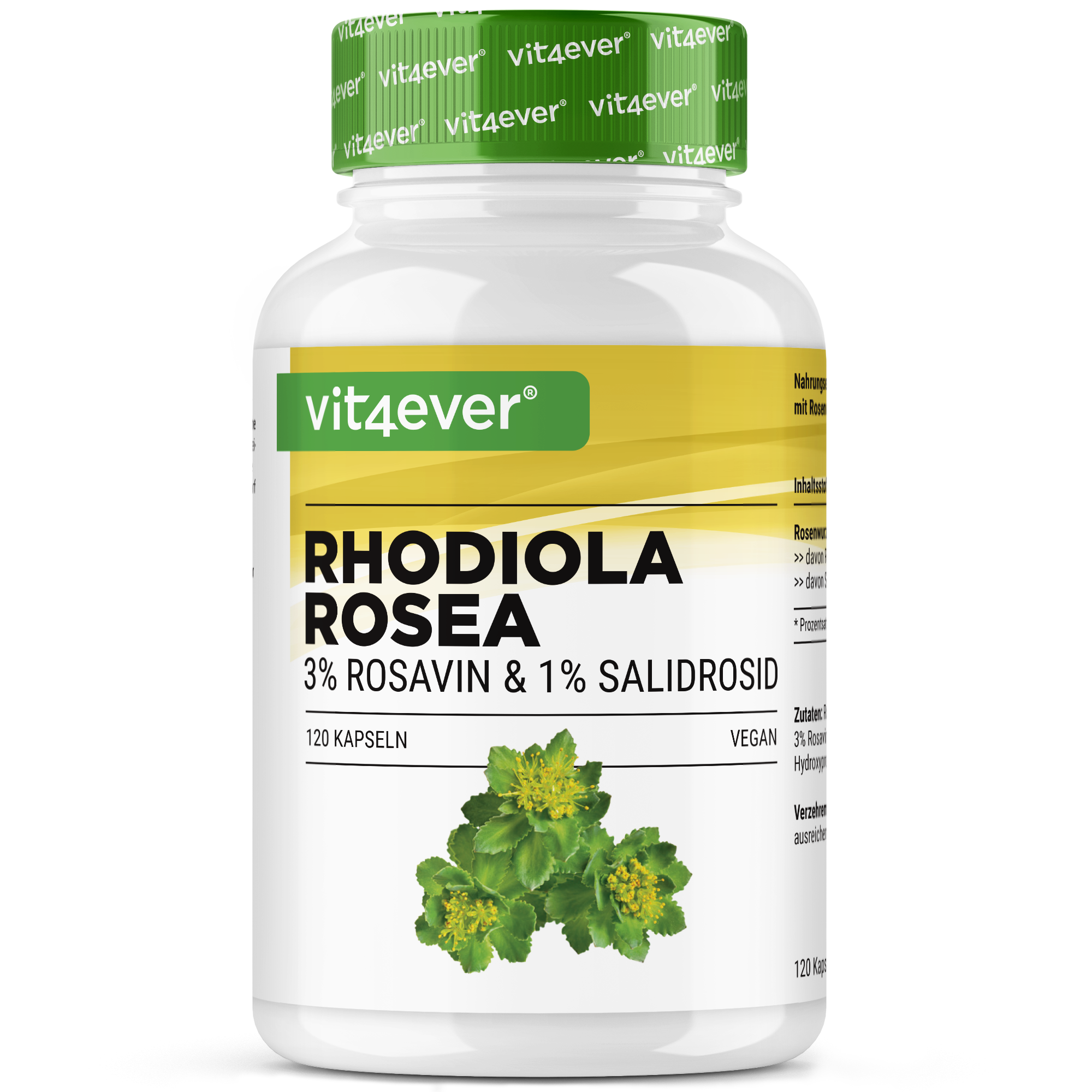 Rhodiola Rosea (estratto di rodiola)