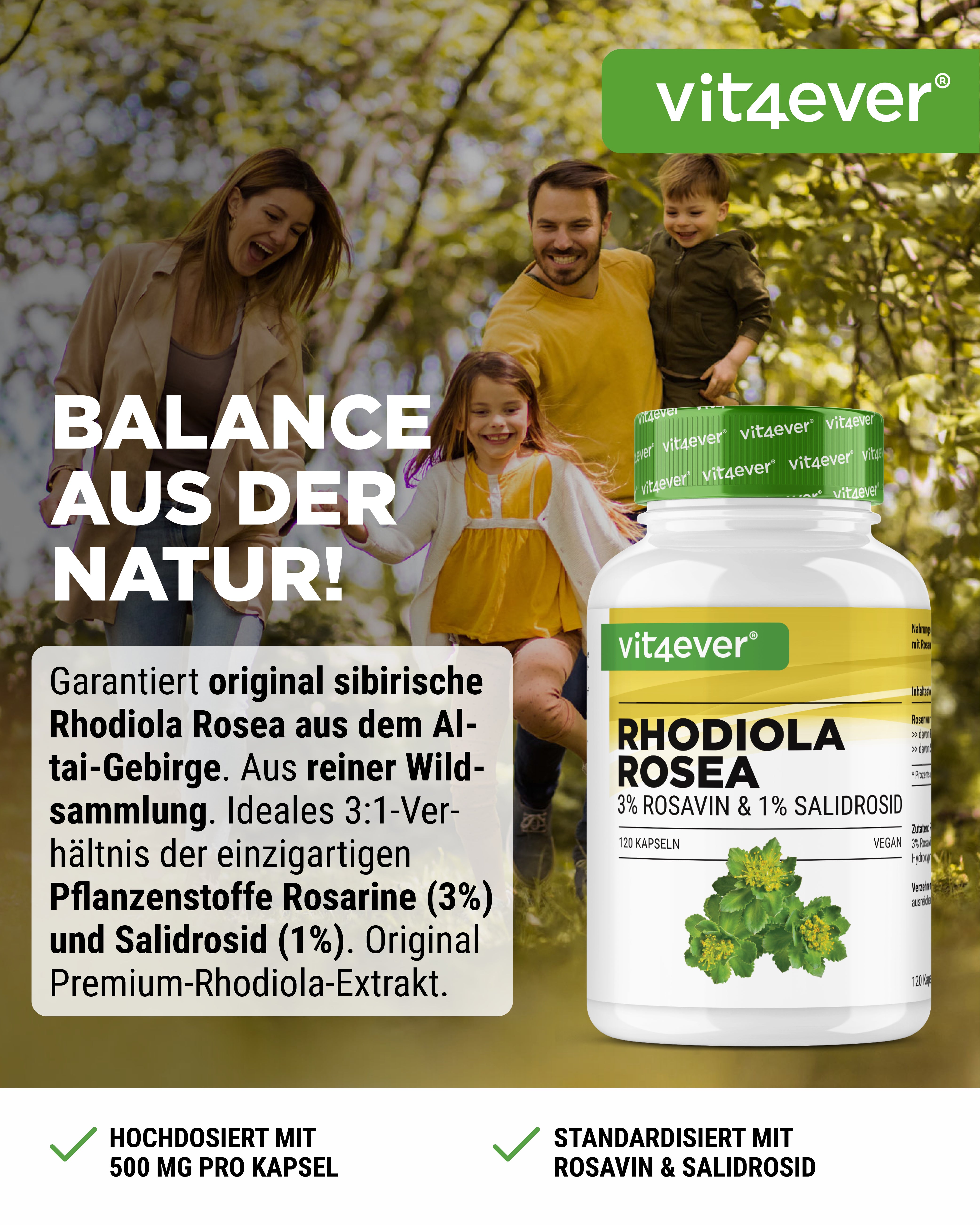 Rhodiola Rosea (estratto di rodiola)