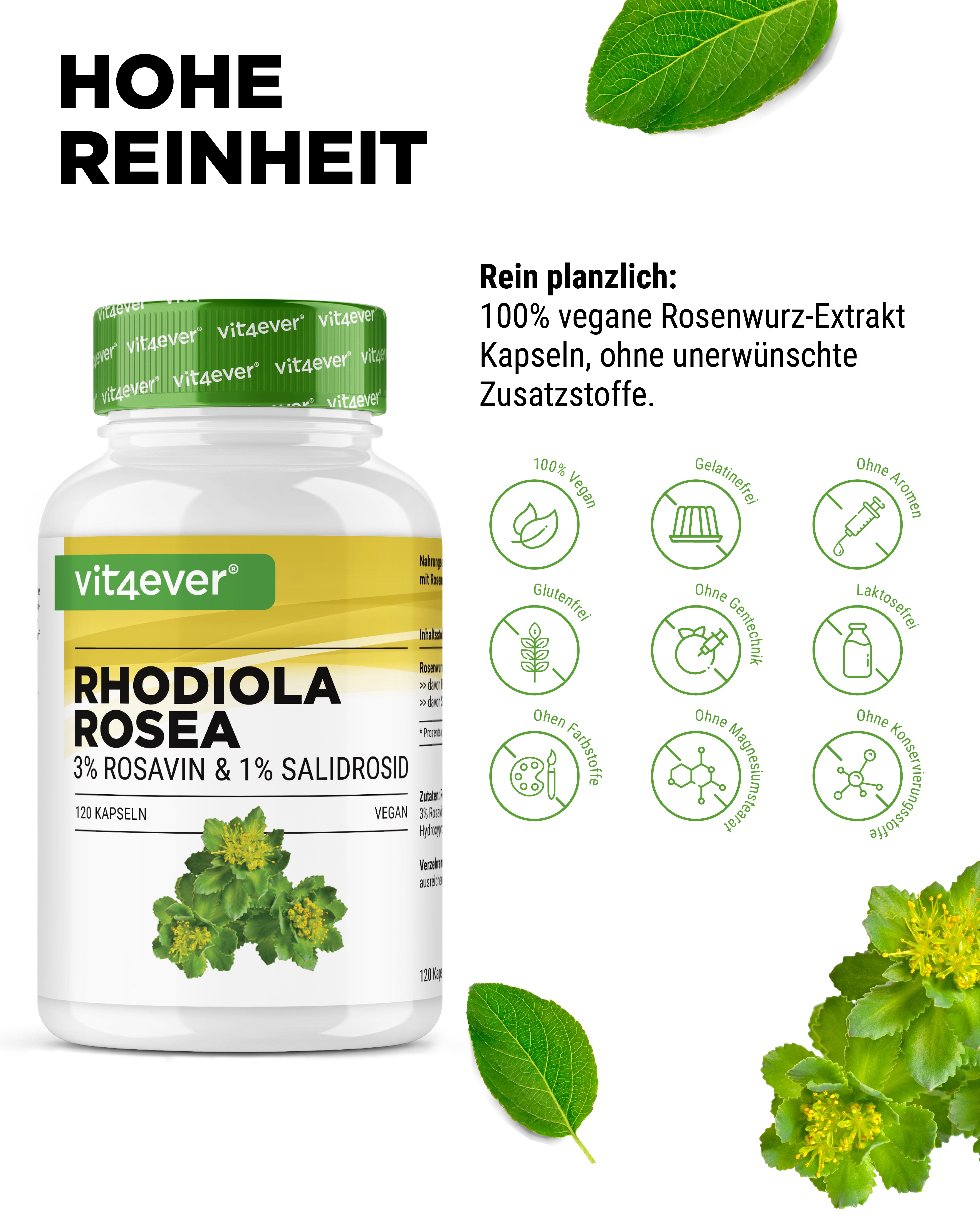Rhodiola Rosea (Extrait de Rhodiola)