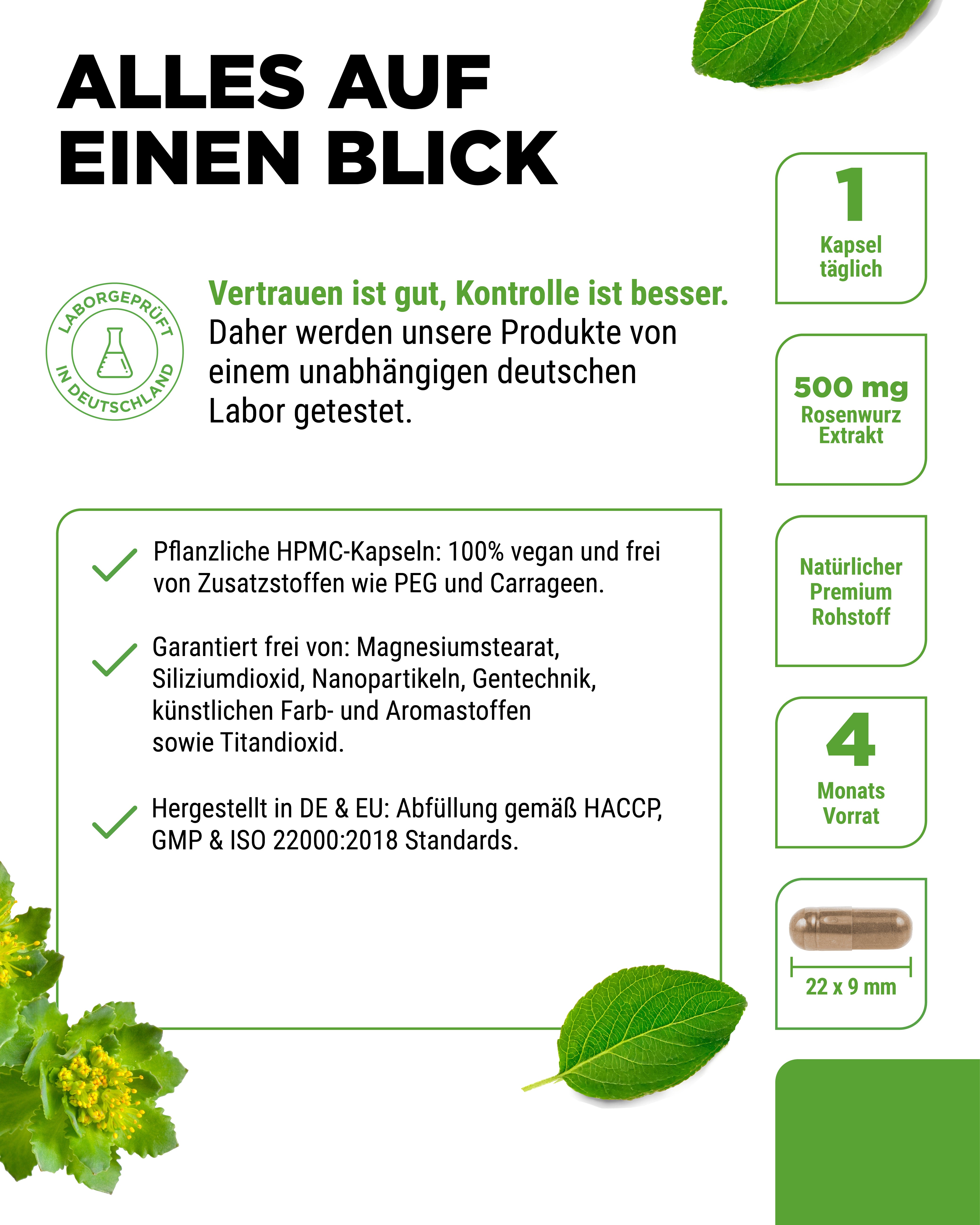 Rhodiola Rosea (Extrait de Rhodiola)