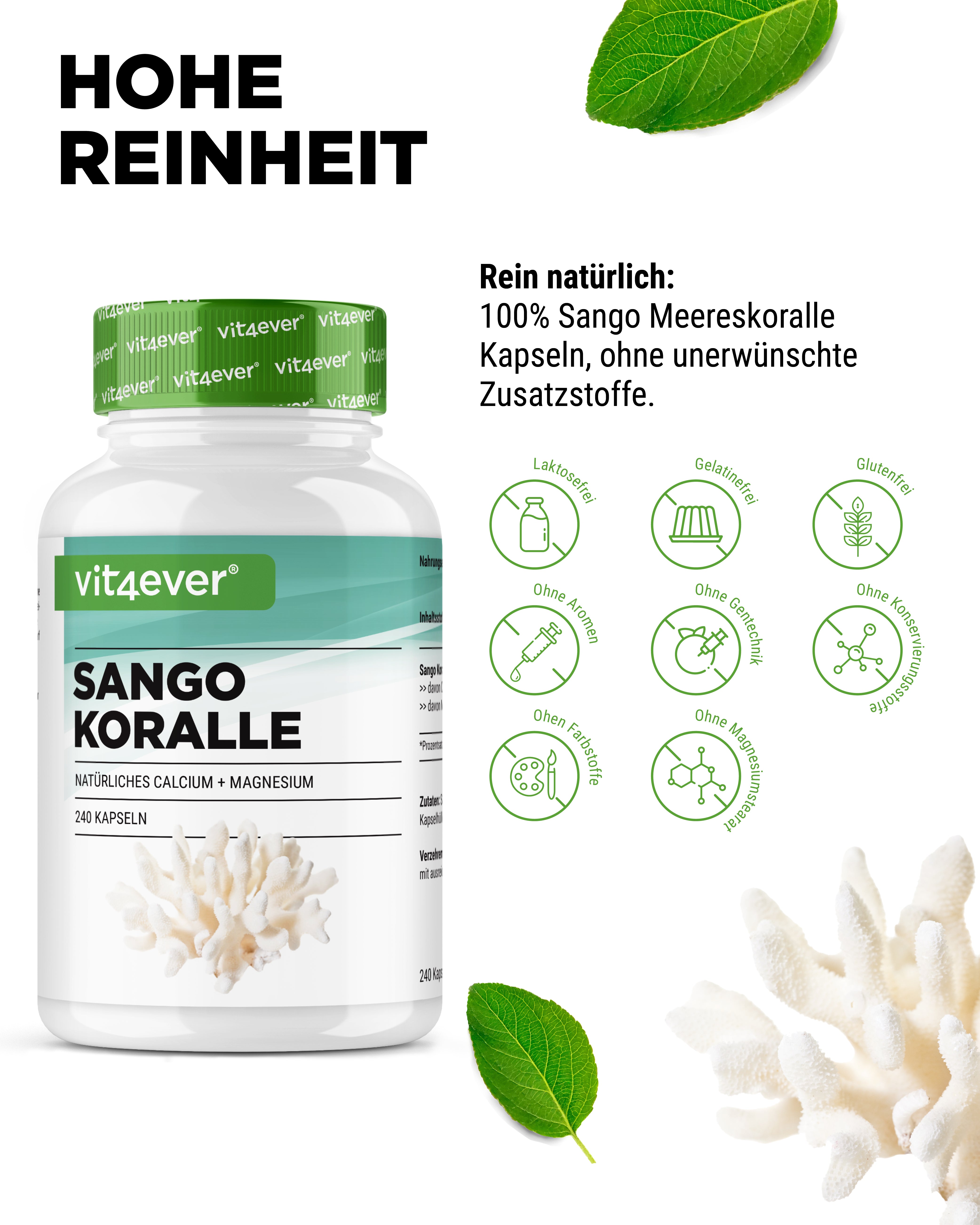 Koral Morski Sango